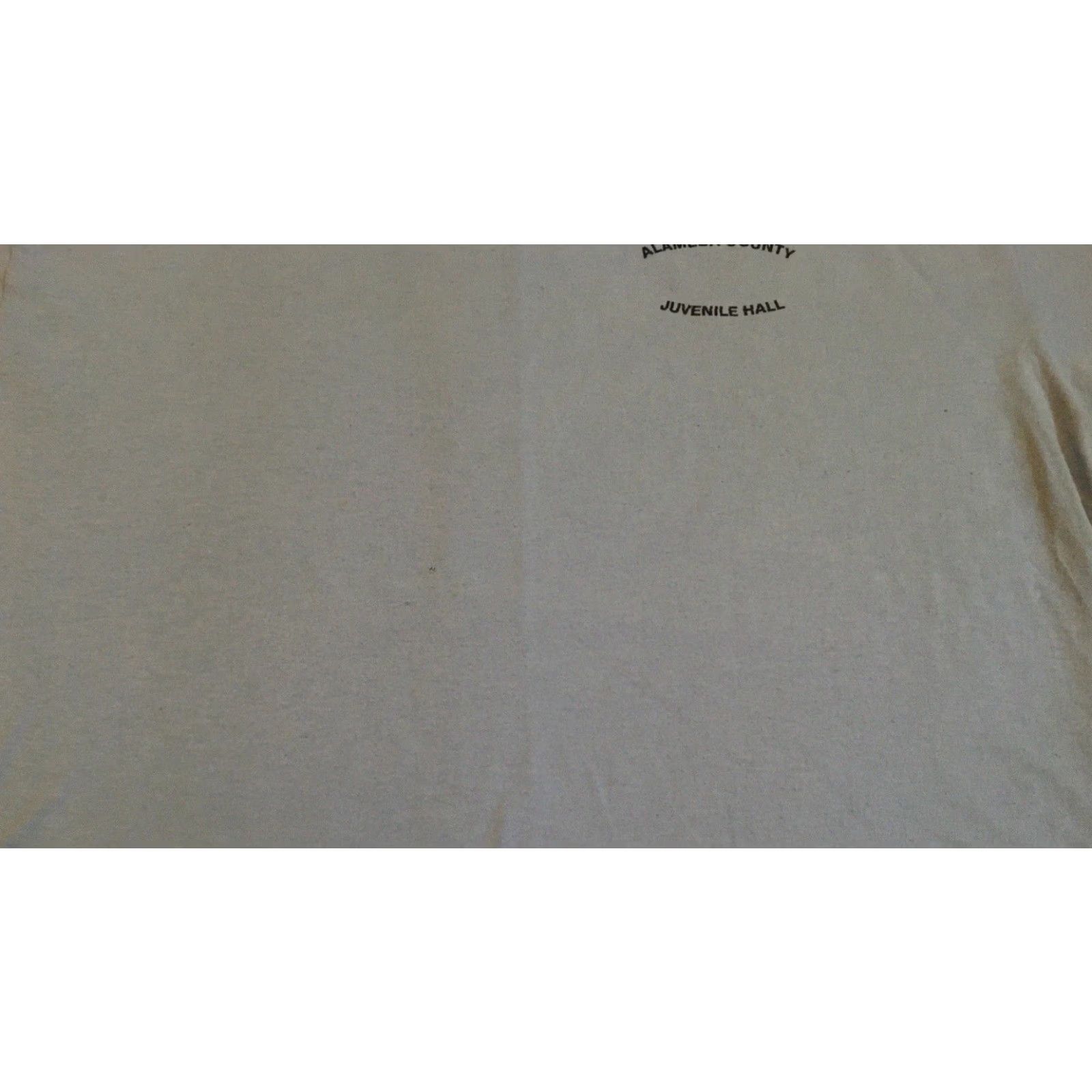 Vintage VINTAGE Alameda County Inmate Shirt XL 90s Jail Prisoner Grunge Blue T-Shirt Mens USA 80s 90s Size US XL / EU 56 / 4 - 5 Thumbnail