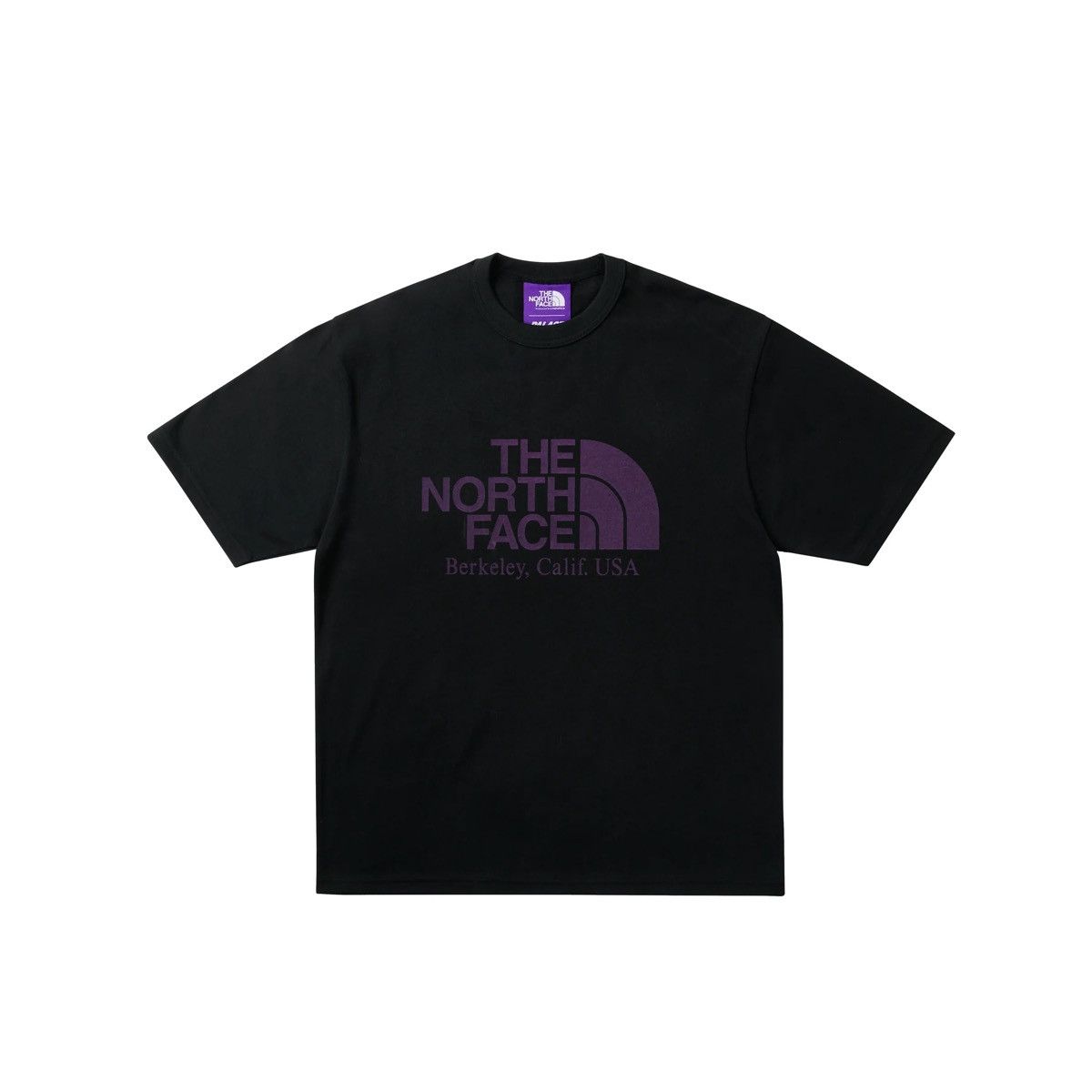 Palace Palace North Face Purple Label Tee Size ONE SIZE - 2 Thumbnail