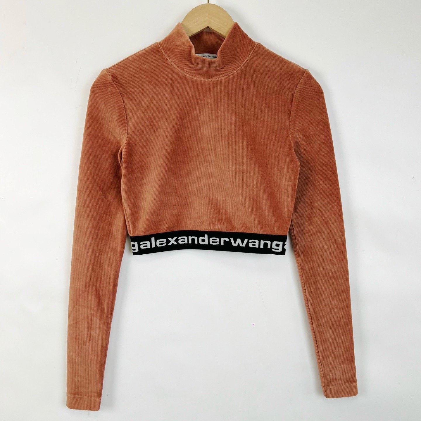 Alexander Wang Alexander Wang Brown Corduroy Mock Neck T-shirt Size XS / US 0-2 / IT 36-38 - 1 Thumbnail