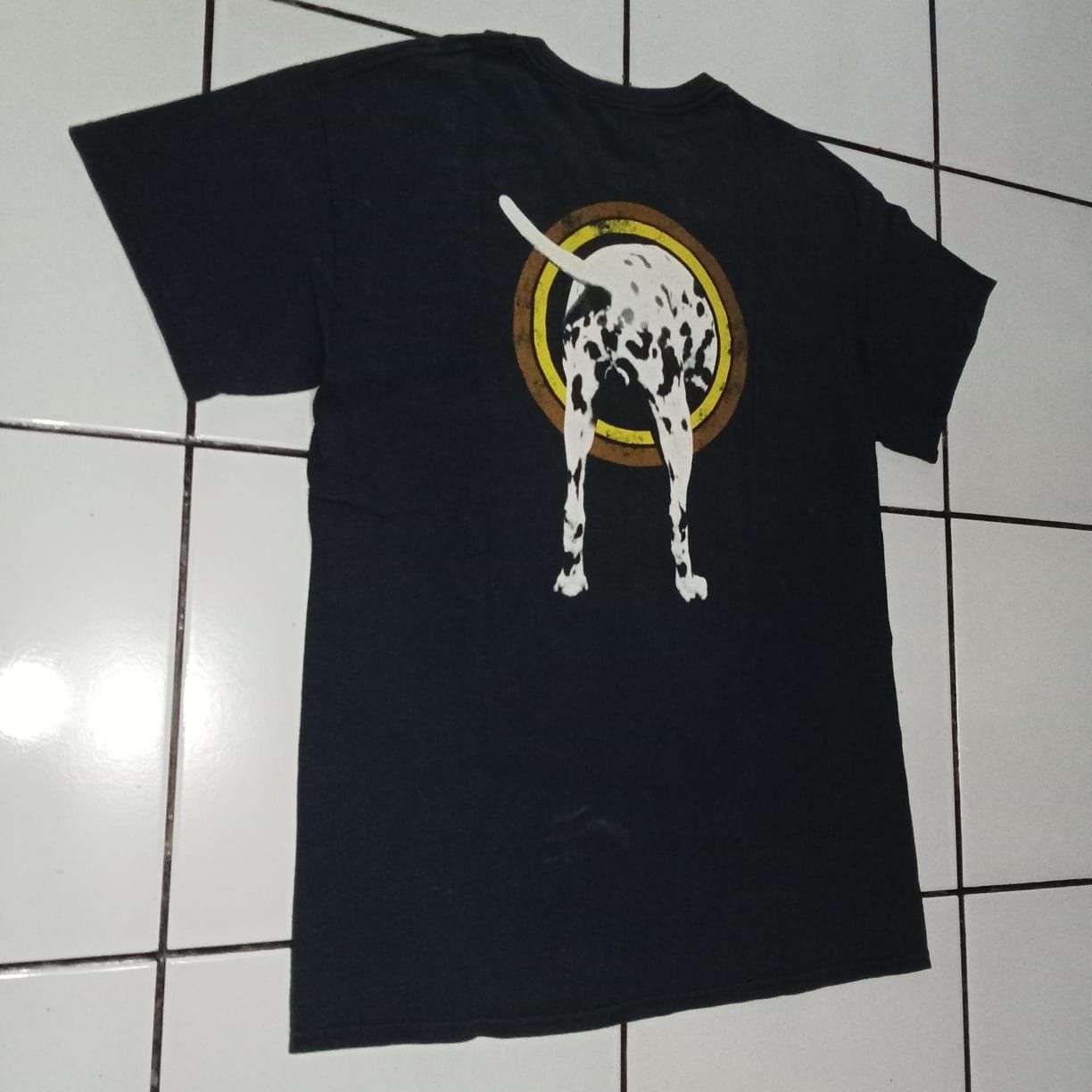 Sublime - dalmation lou dog, long beach tshirt.