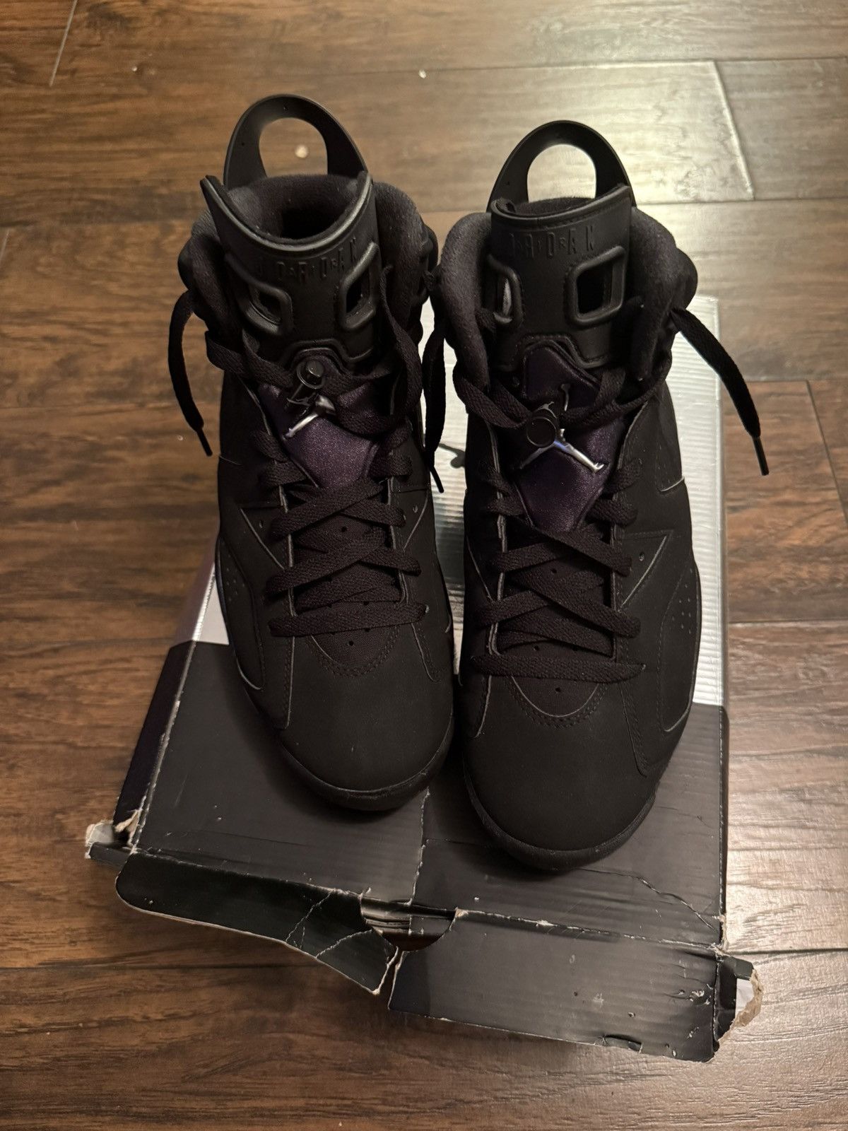 Jordan 6 Chrome/Metallic Silver