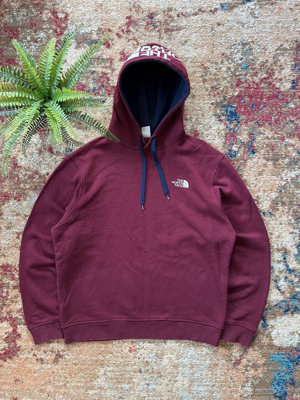 🍆 THE NORTH FACE OUTDOOR GORPCORE HOODIE Y2K 90’s