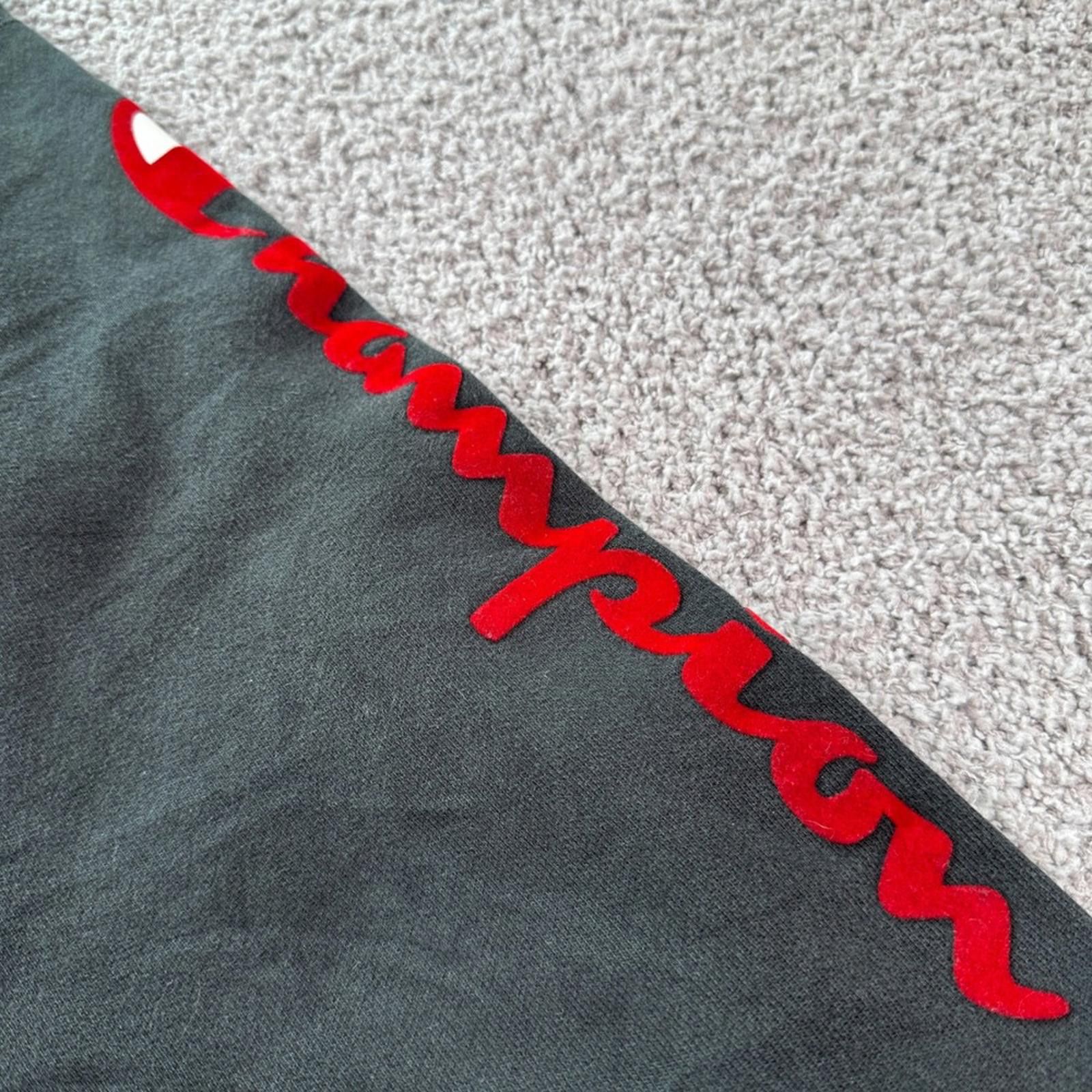 Champion Champion Reverse Weave Black Hoodie Red Script Logo Men's M Size US M / EU 48-50 / 2 - 7 Thumbnail