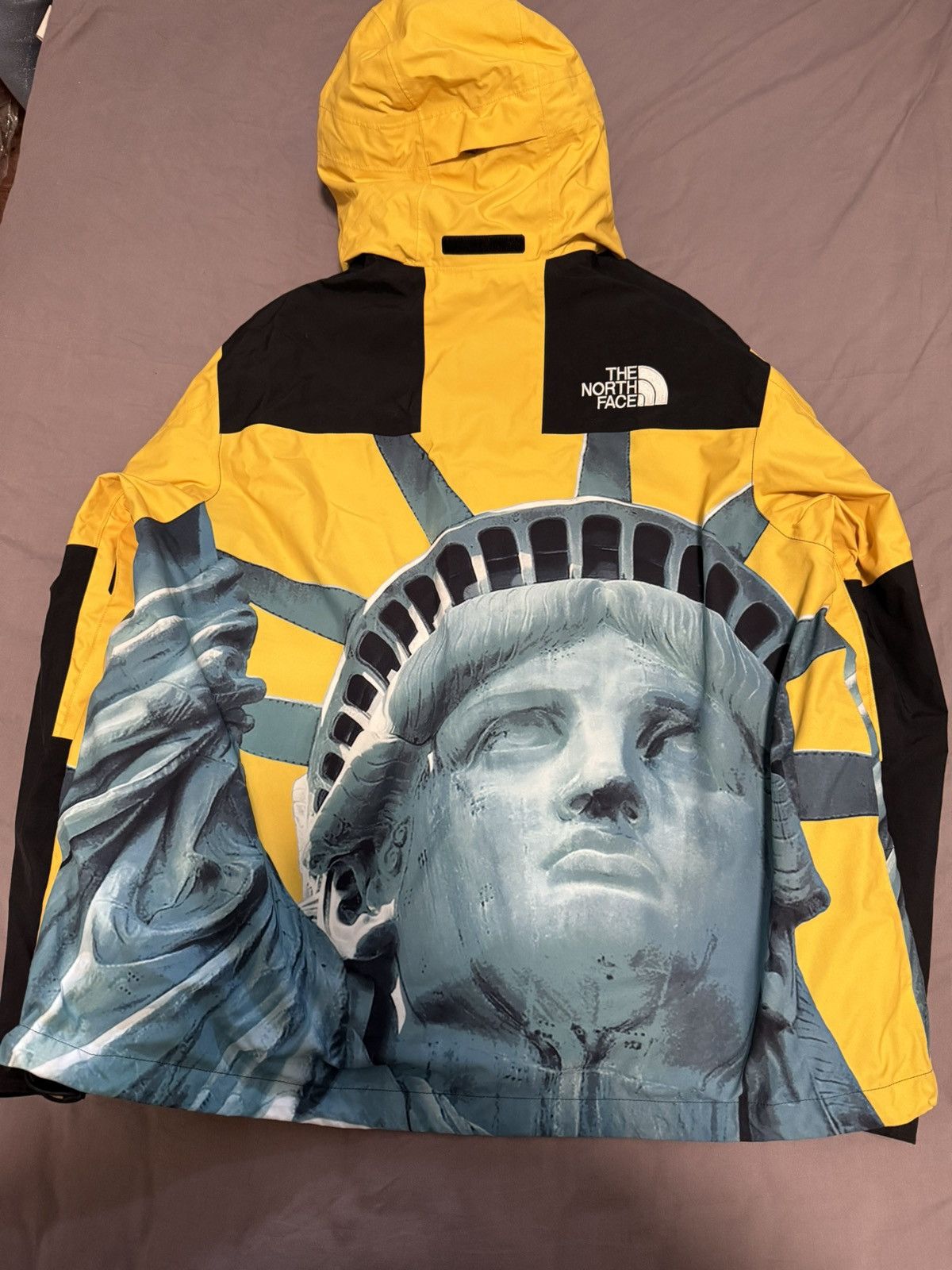 Supreme × The North Face Supreme tnf north face statue of liberty mountain jacket Size US XL / EU 56 / 4 - 5 Thumbnail