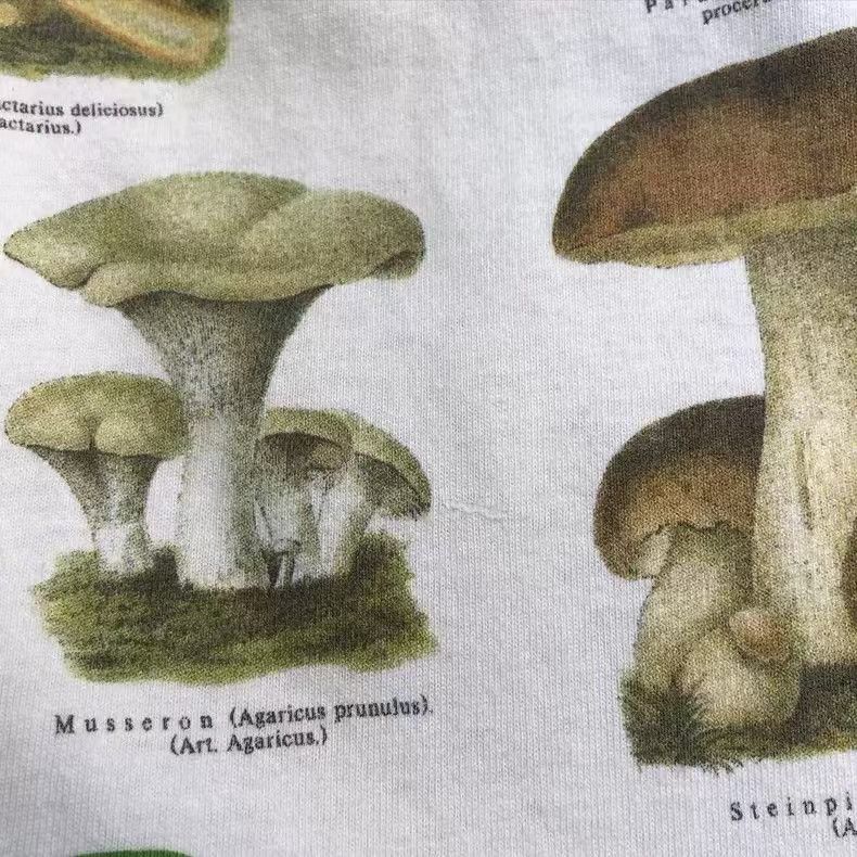 Vintage White Washed Vintage Mushroom Print T-Shirt Size US M / EU 48-50 / 2 - 3 Thumbnail