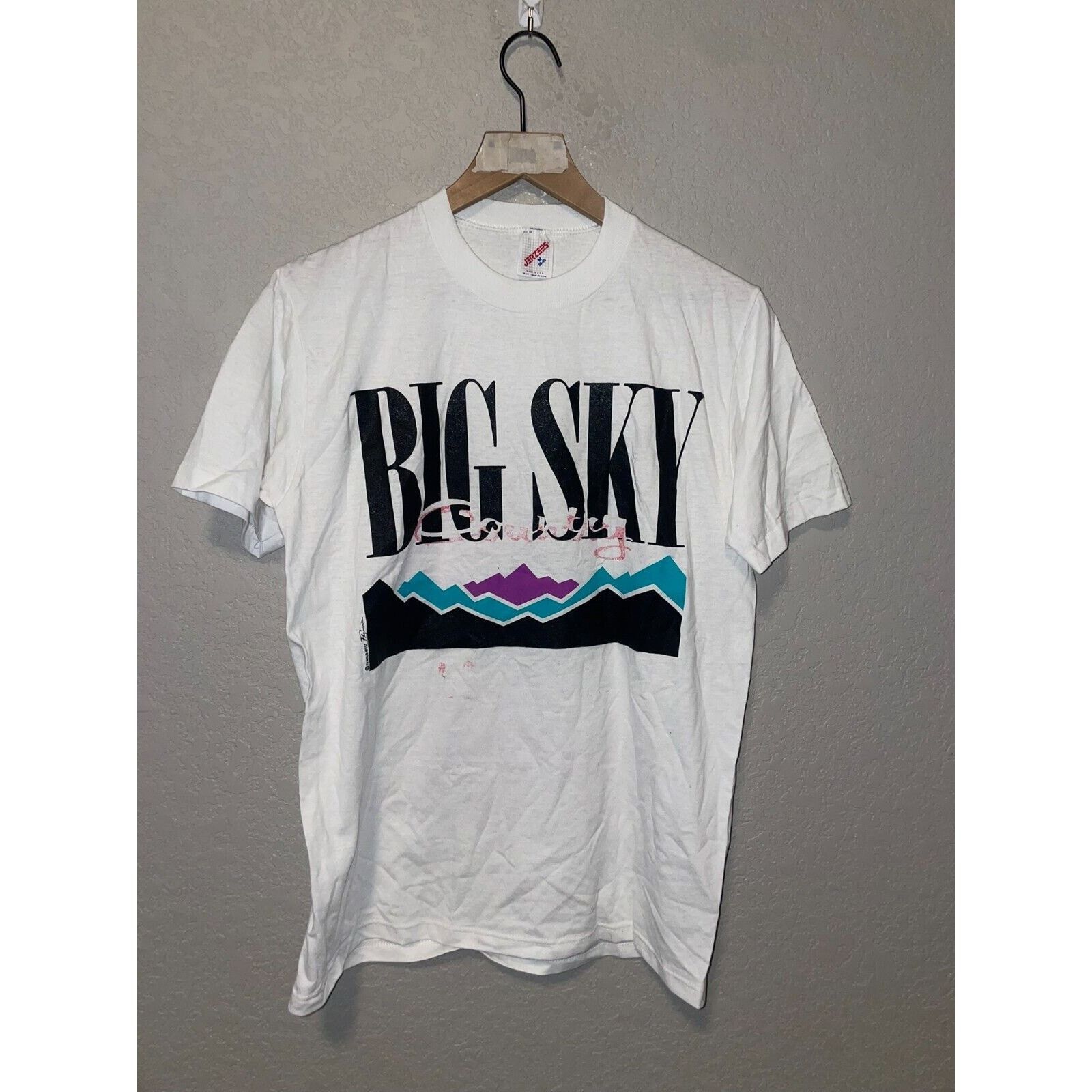 Jerzees Vintage Big Sky Shirt Badlands Buffalo Tee Test Print 90s M Size US M / EU 48-50 / 2 - 2 Thumbnail