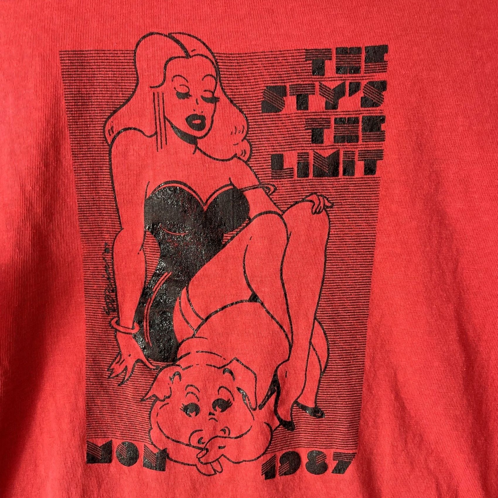 Hanes VINTAGE Hanes The Sty’s The Limit T-Shirt Mens Long Sleeve L Red USA Logo 80s Classic Size US L / EU 52-54 / 3 - 5 Thumbnail