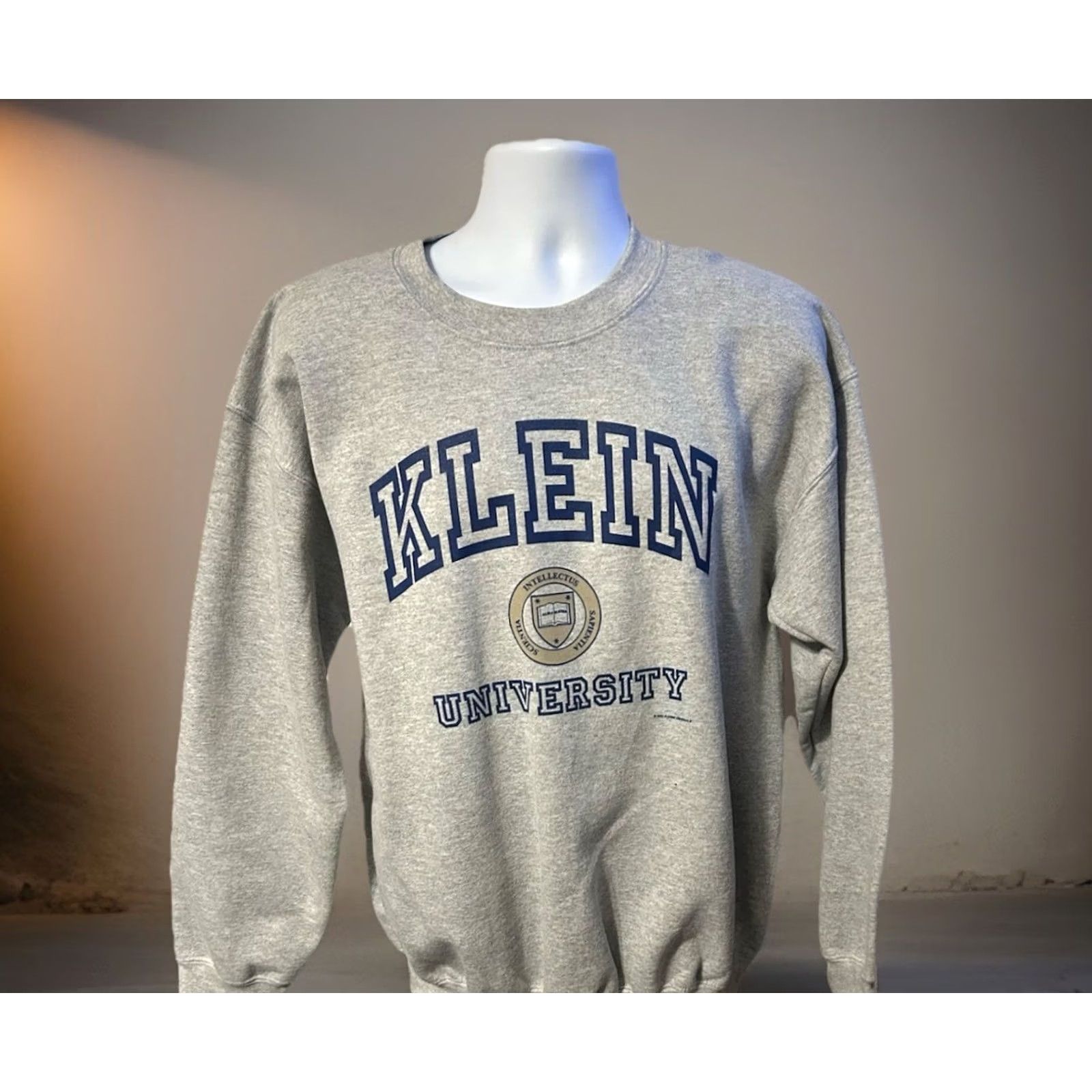 Gildan VINTAGE Gildan Sweatshirt University Klein Pullover Gray Adult Large Crew Neck Long Sleeve Graphic Print NWT Dead Stock 2002 Unisex Mens Womens Size US L / EU 52-54 / 3 - 6 Thumbnail
