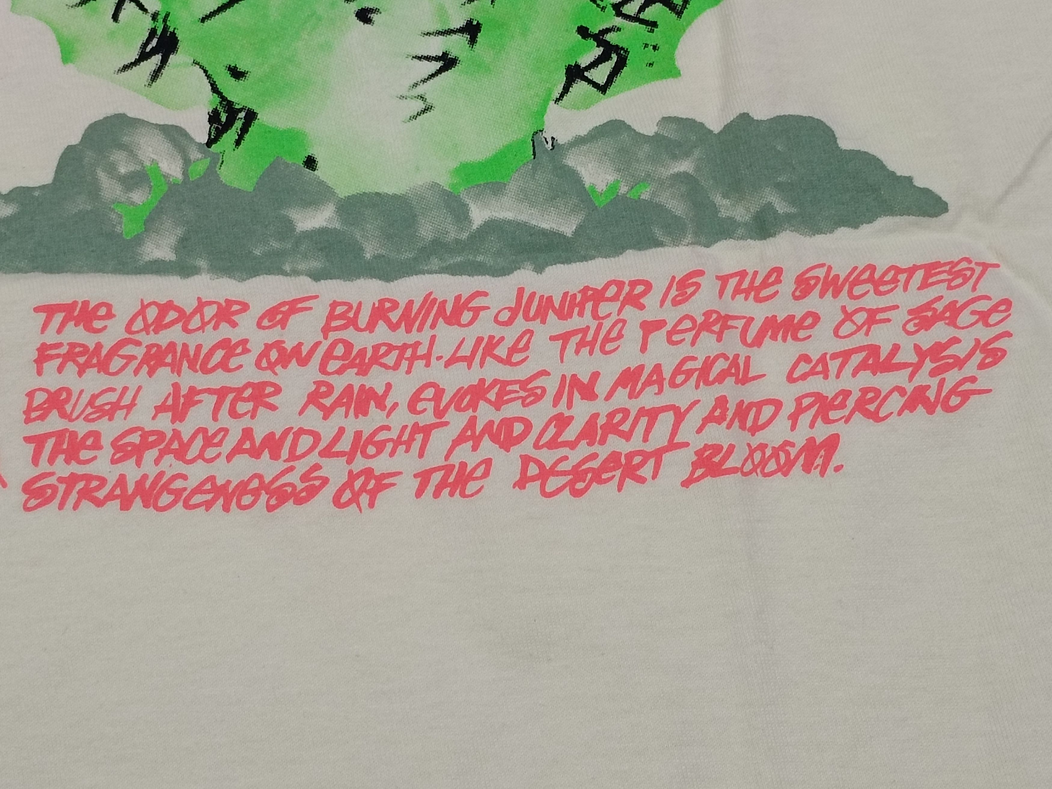 Hypebeast × Stussy × Vintage Stussy Desert Bloom T-shirt Size US M / EU 48-50 / 2 - 2 Thumbnail
