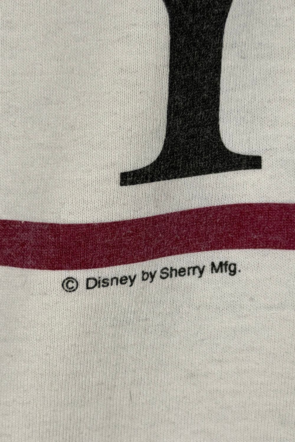 Fruit Of The Loom Vintage early 90s Disney Goofy Florida tee Size US M / EU 48-50 / 2 - 7 Thumbnail
