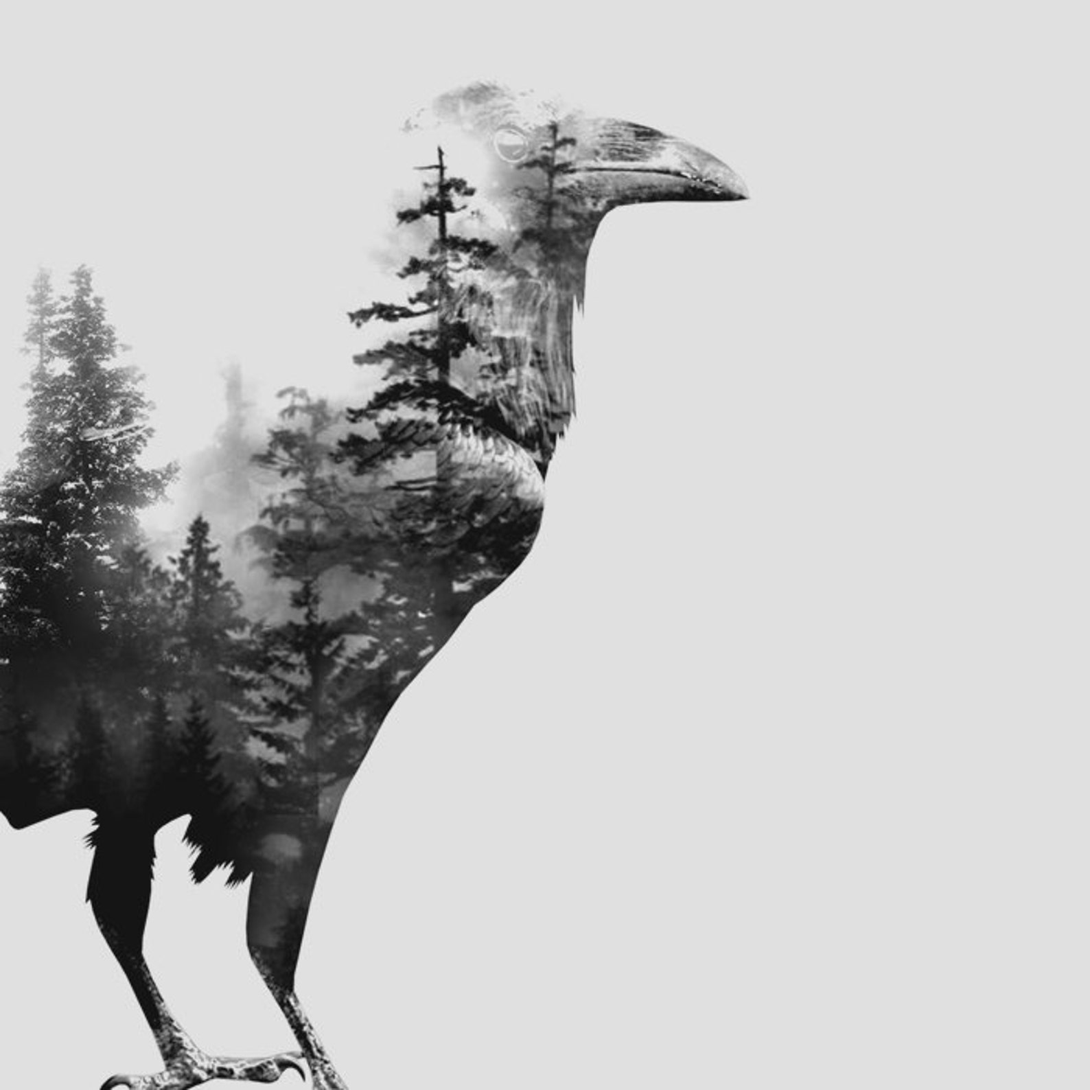 Designer × Vintage Nature-Inspired Blackbird Forest Tee – Unisex T-Shirt Size US L / EU 52-54 / 3 - 4 Thumbnail