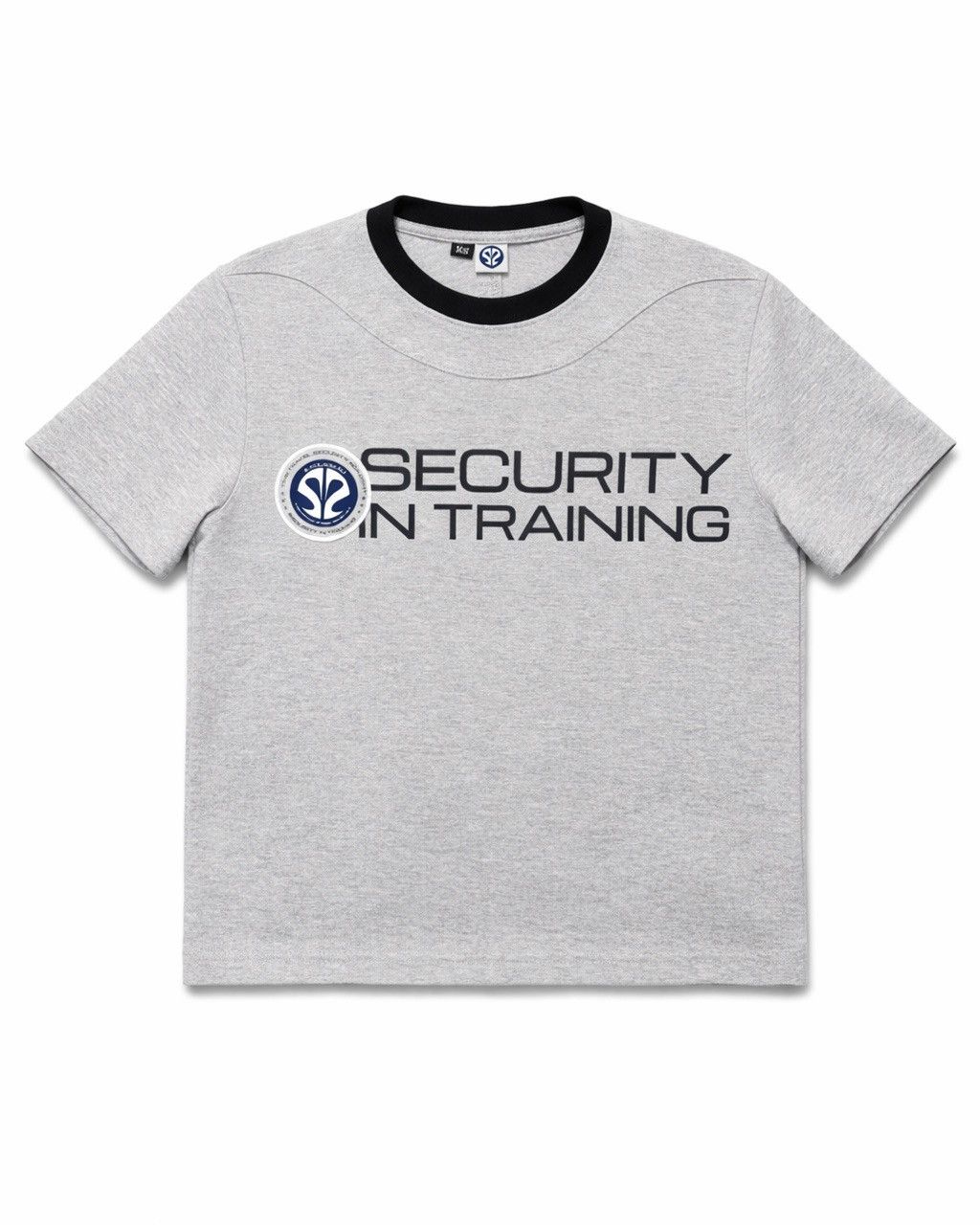 Other SECURITY IN TRAINING tee by S.ROUSSEAU Size US M / EU 48-50 / 2 - 1 Thumbnail