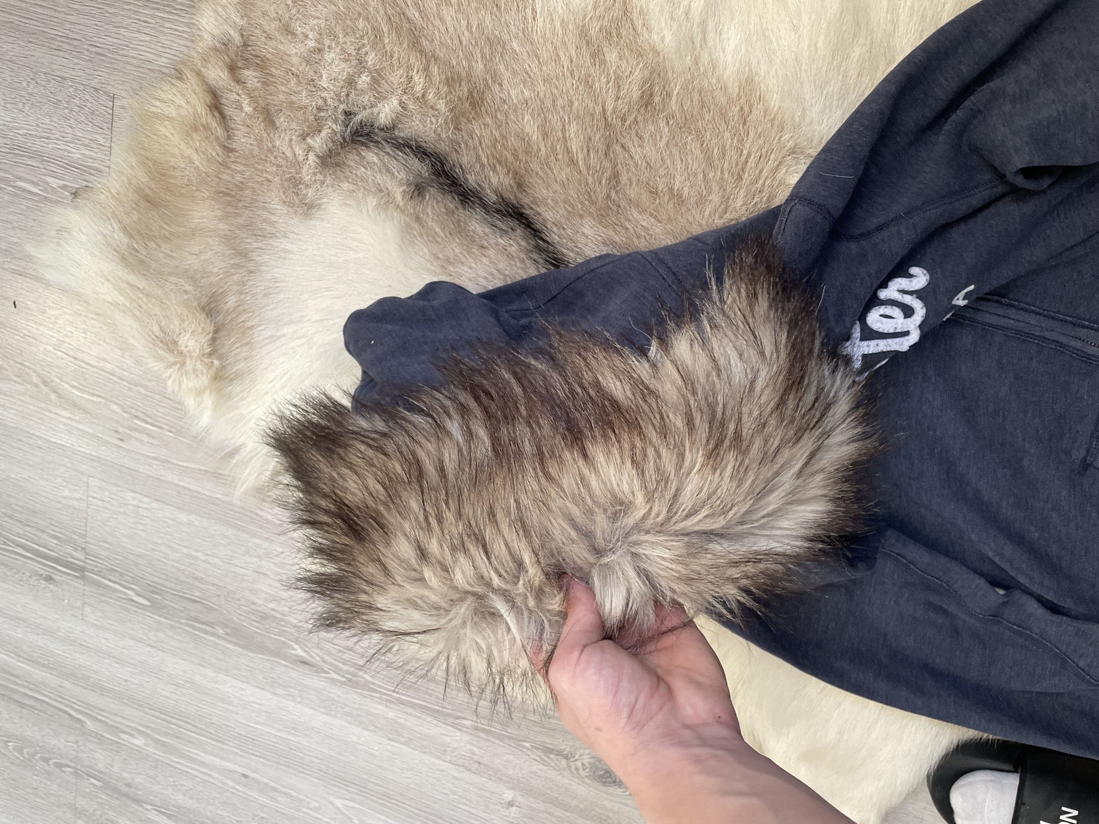 Hollister Y2K Fur Hoodie Hollister Opium Size US S / EU 44-46 / 1 - 6 Thumbnail
