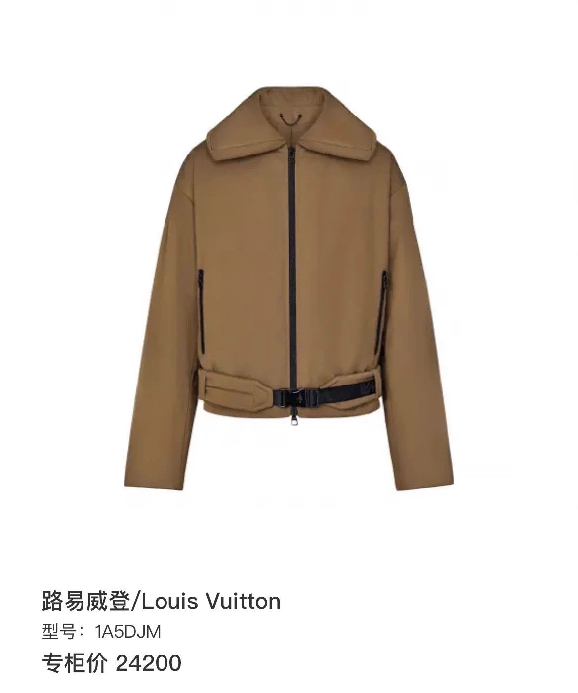 Louis Vuitton Louis Vuitton LV Wizard of Oz belted jacket Size US L / EU 52-54 / 3 - 7 Thumbnail