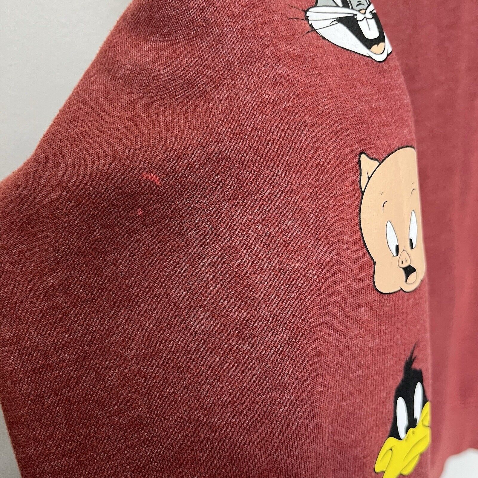 Vintage Looney Tunes | Bugs Bunny Warner Bros Hood Sweatshirt 90’s Size US M / EU 48-50 / 2 - 8 Thumbnail