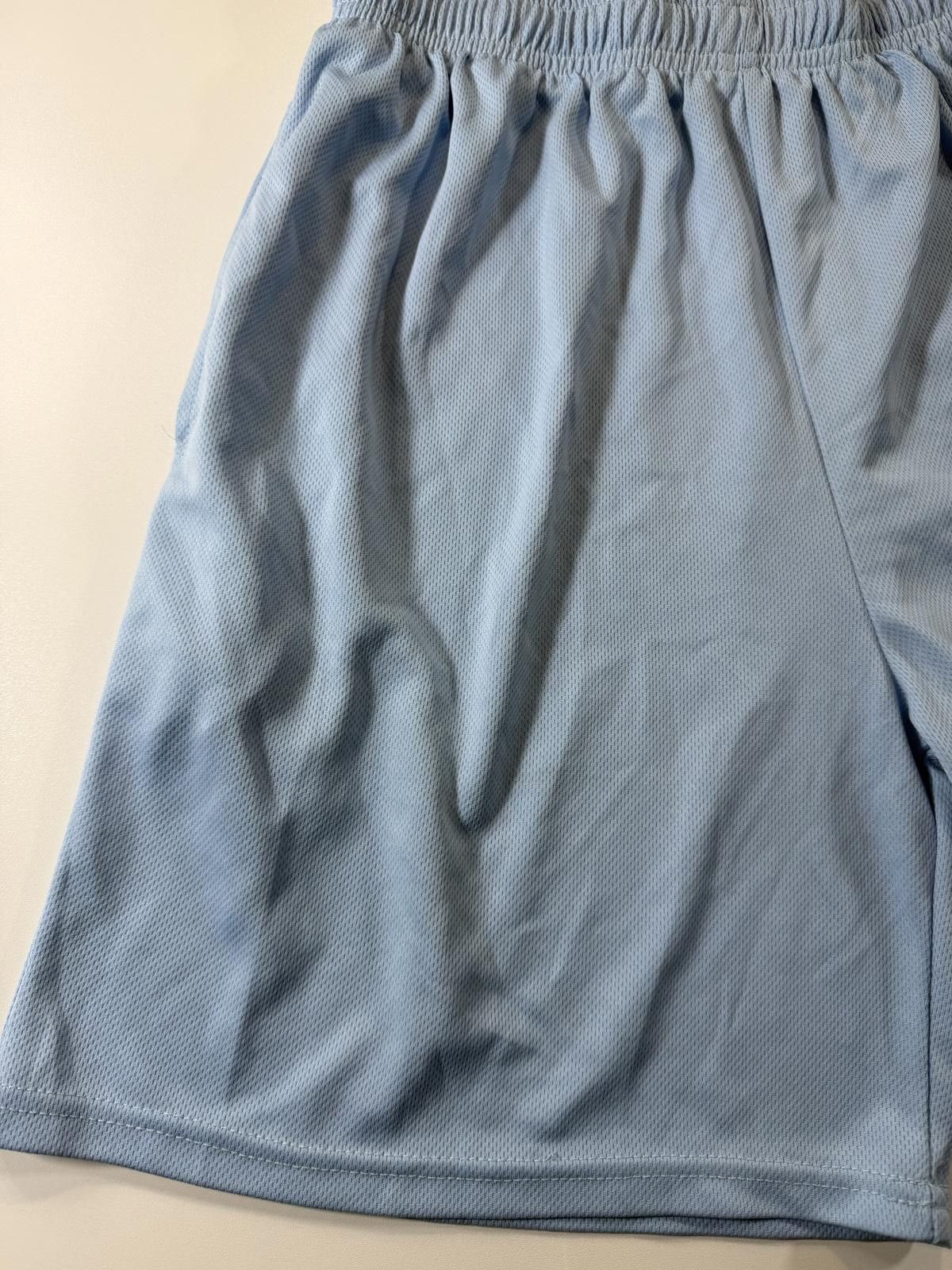 The Unbranded Brand Light Blue Athletic Mesh Shorts with Logo Size US 36 / EU 52 - 3 Thumbnail