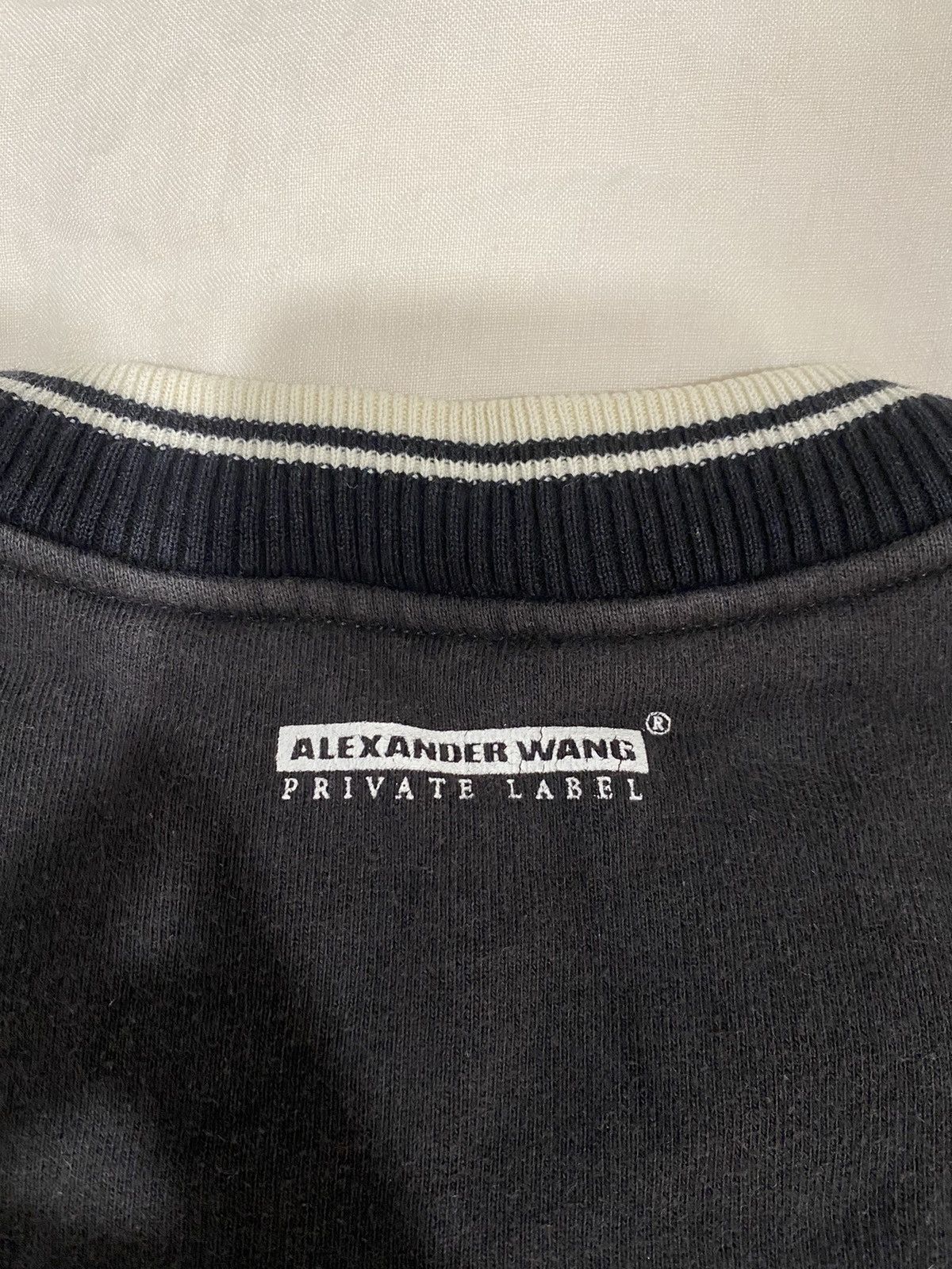 Alexander Wang Alexander Wang Moguls Only crewneck sweatshirt Size US S / EU 44-46 / 1 - 5 Thumbnail