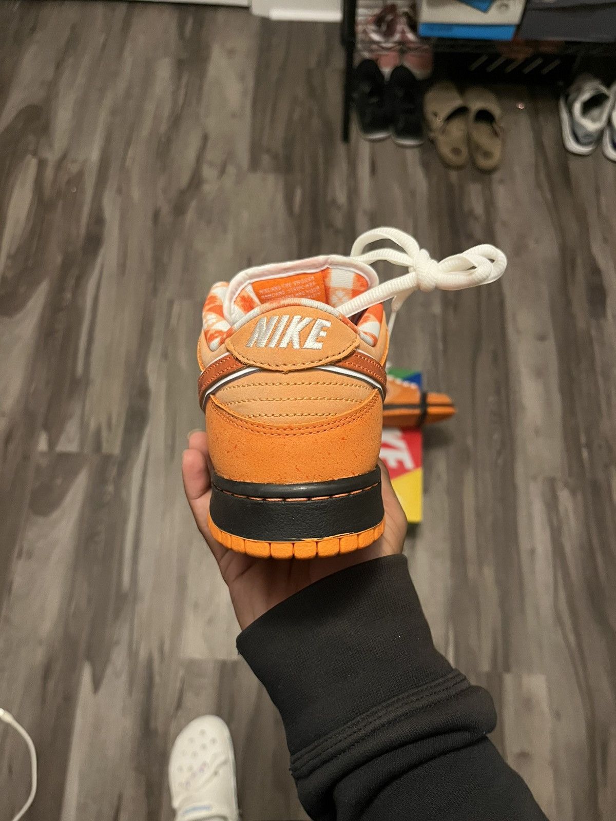 CNCPTS × Nike Nike Lobster SB Size US 9 / EU 42 - 7 Thumbnail