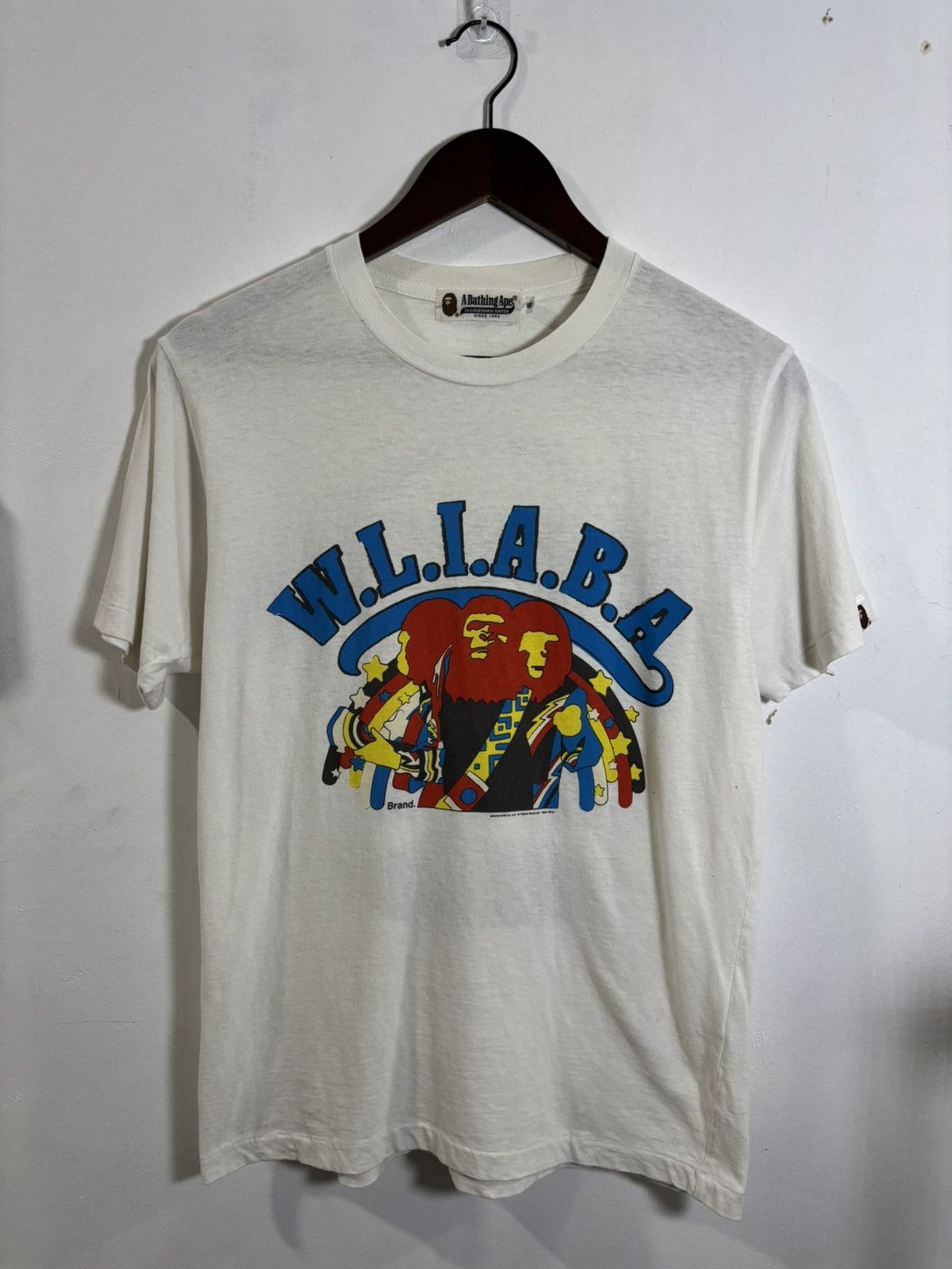 Bape F/W 2004 Bathing Ape X Good Charlotte | Grailed