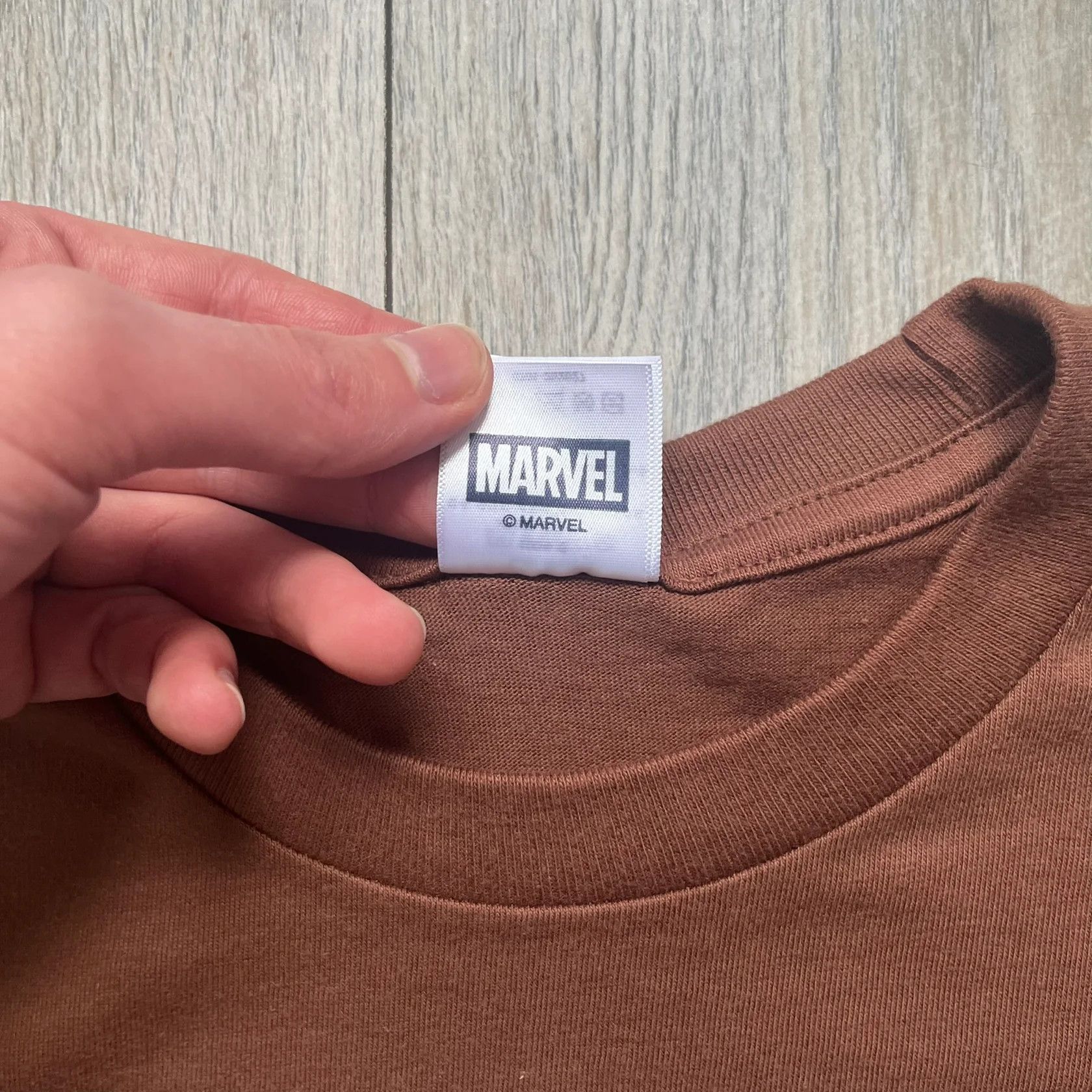 Supreme Supreme x Spider-Man SS26 Brown Tee Size US L / EU 52-54 / 3 - 5 Thumbnail