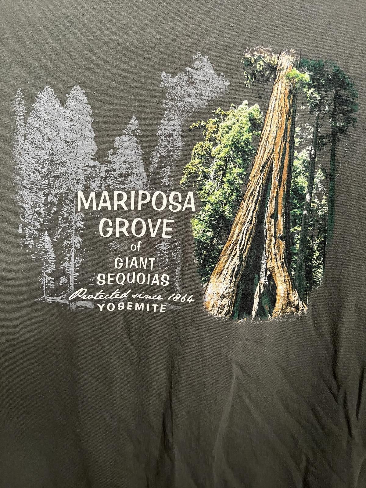 Designer Faded Yosemite T-shirt Giant Sequoias Mariposa Grove - L Size US L / EU 52-54 / 3 - 3 Thumbnail