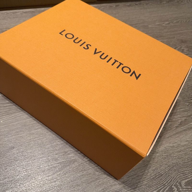 Louis Vuitton Louis Vuitton Trainer Low Top Fashion Sneakers -2505 Size US 4 / IT 34 - 6 Thumbnail