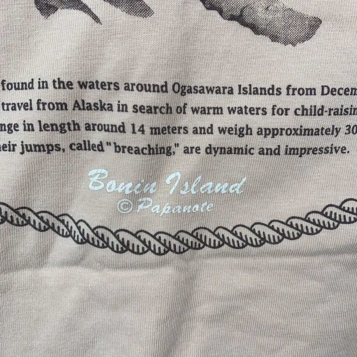 Vintage Vintage 90’ PAPANOTE OGASAWARA ISLAND Bonin Tee Shirt Top Size XL / US 12-14 / IT 48-50 - 3 Thumbnail