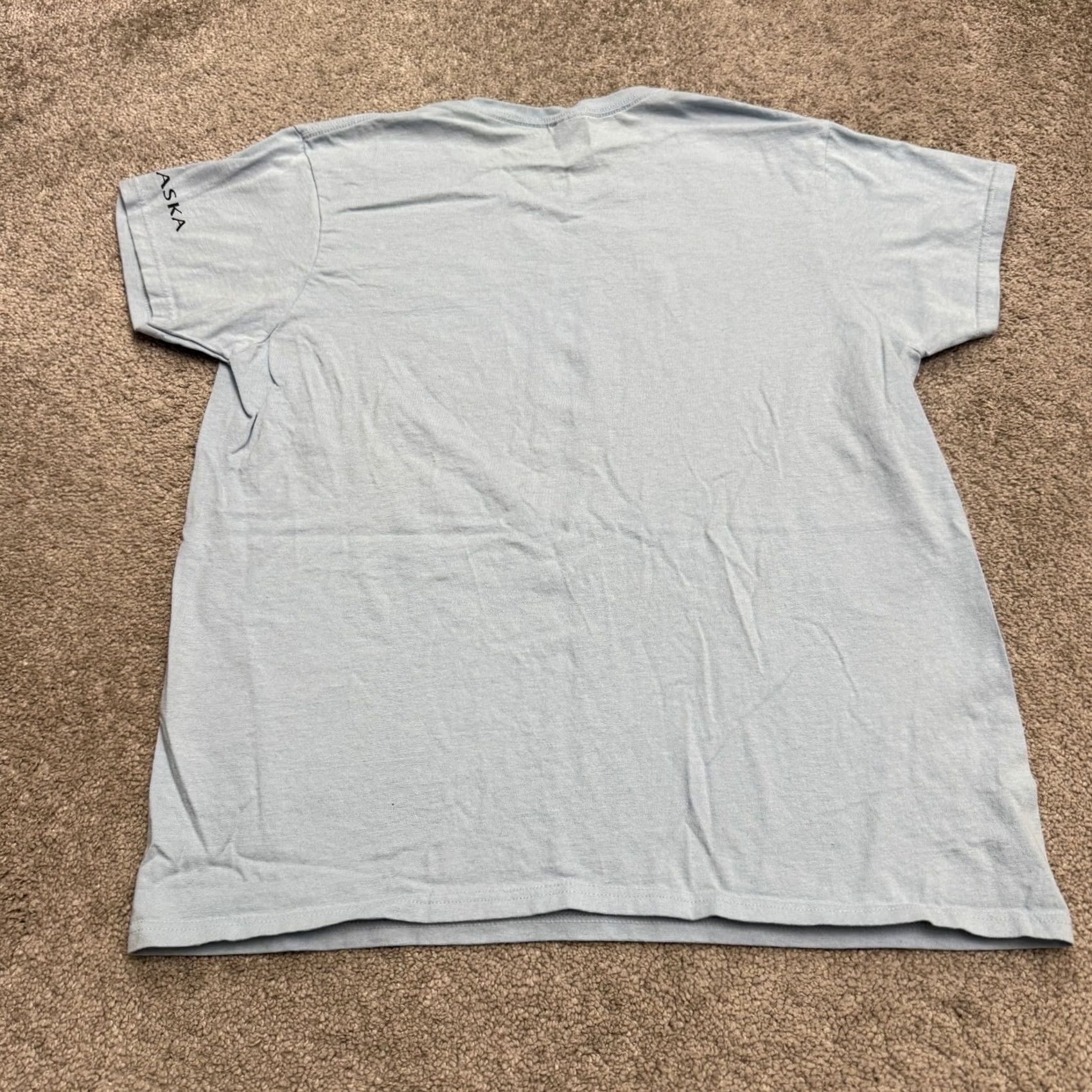 Gildan Gildan T-Shirt Womens Blue Crew Neck Short Sleeve Large Regular Fit Graphic Print Vintage: No, Basic, Casual Comfort Top Size L / US 10 / IT 46 - 2 Thumbnail