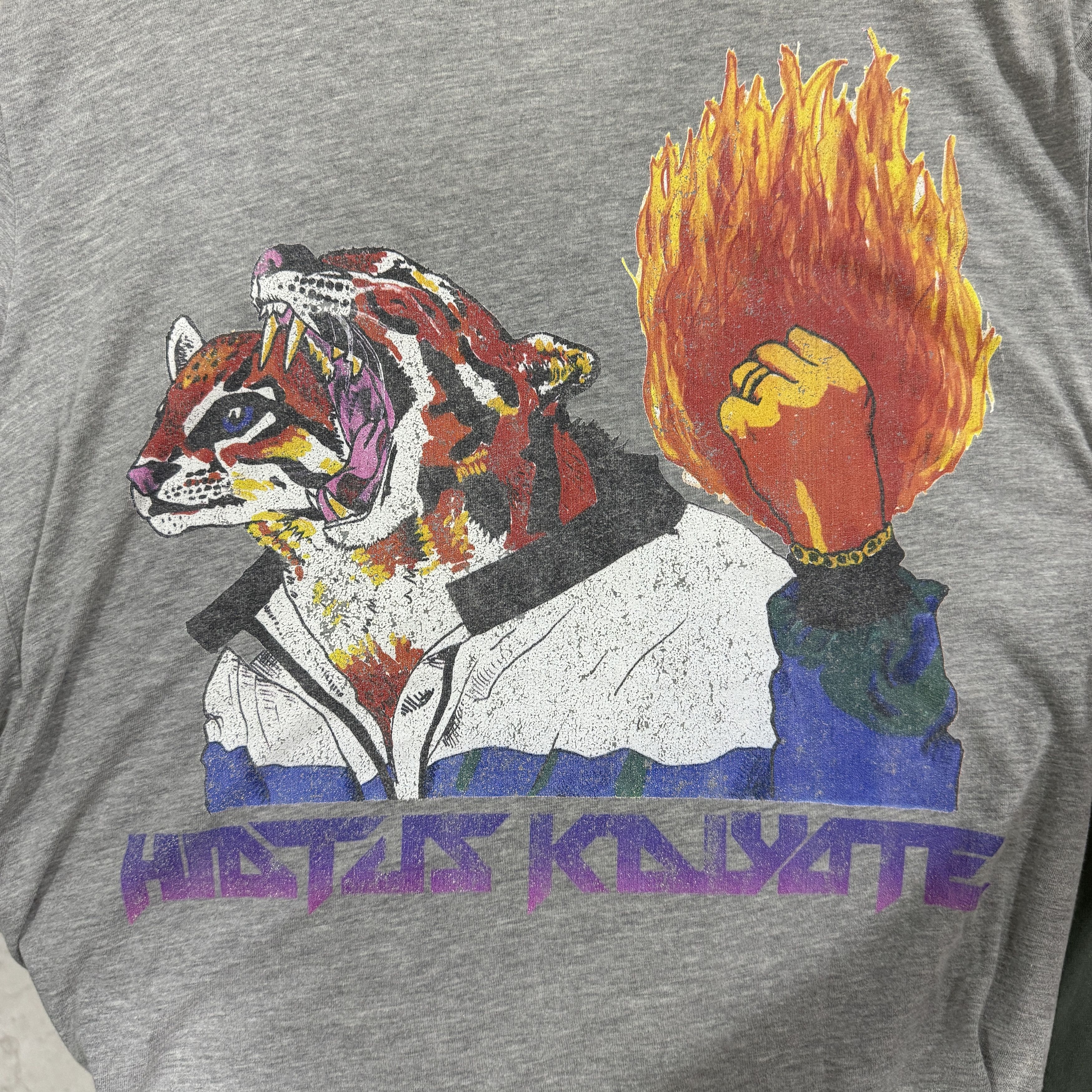 Vintage Official 2014 Hiatus Kaiyote Ocelot Heather Grey T-Shirt Size US M / EU 48-50 / 2 - 4 Thumbnail