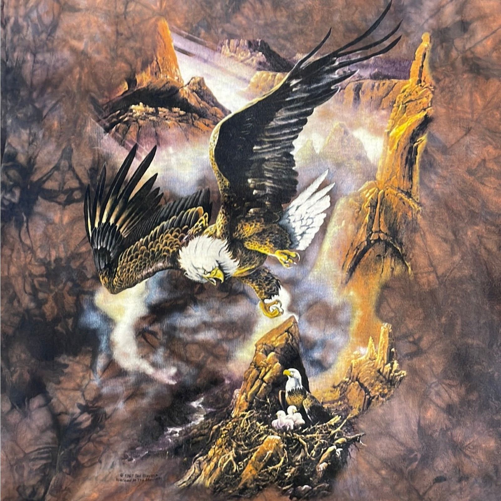 The Mountain Vintage 1997 American Eagles The Mountain Shirt XL Size US XL / EU 56 / 4 - 2 Thumbnail