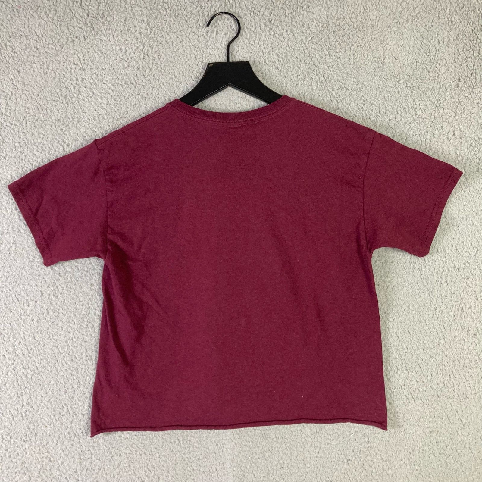 Disney Disney The Lion King Hakuna Matata Maroon Crop Top XS Size XS / US 0-2 / IT 36-38 - 5 Thumbnail