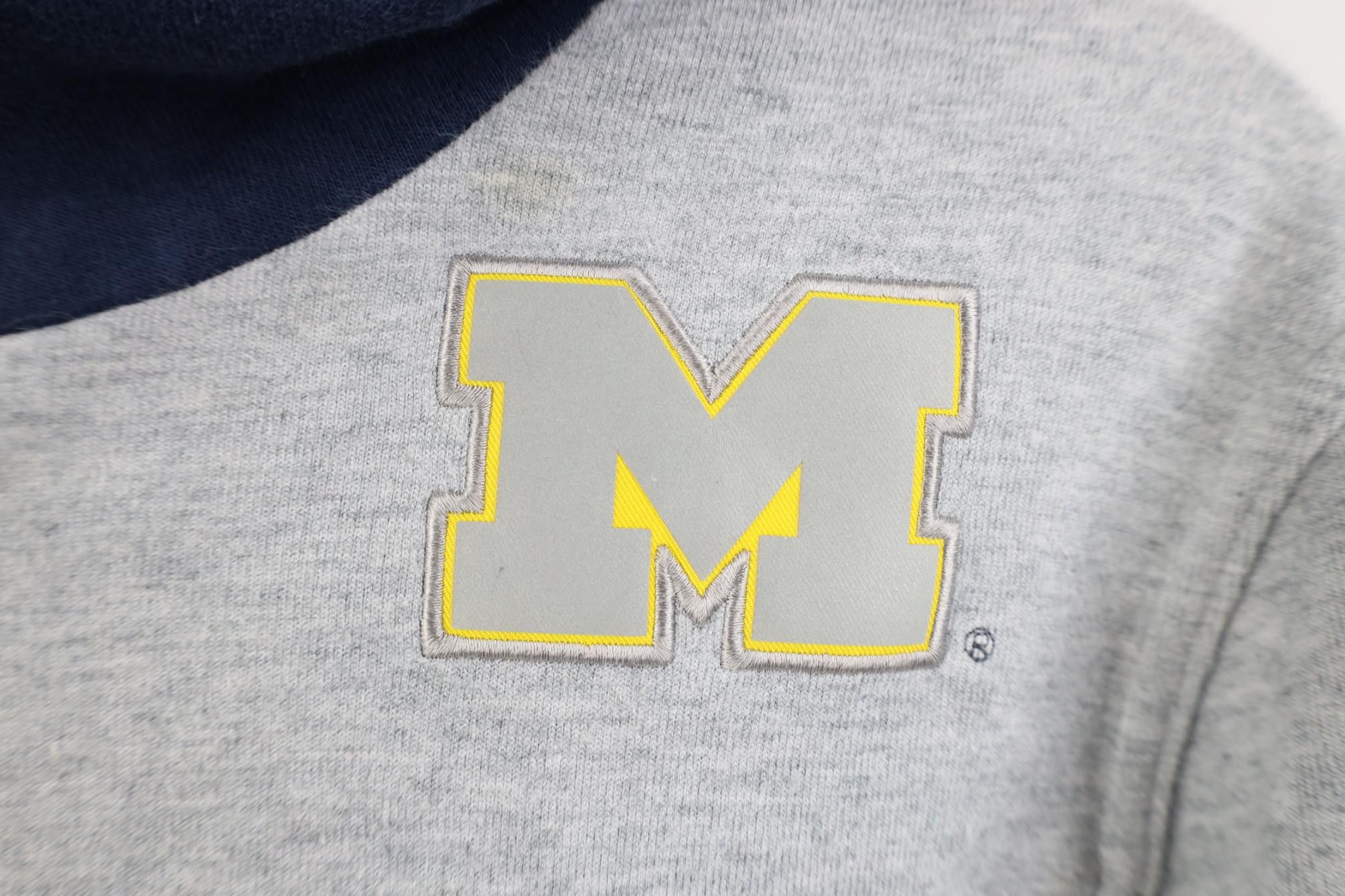 Nike Nike Block M University of Michigan Hoodie Sweatshirt Gray Size US S / EU 44-46 / 1 - 4 Thumbnail