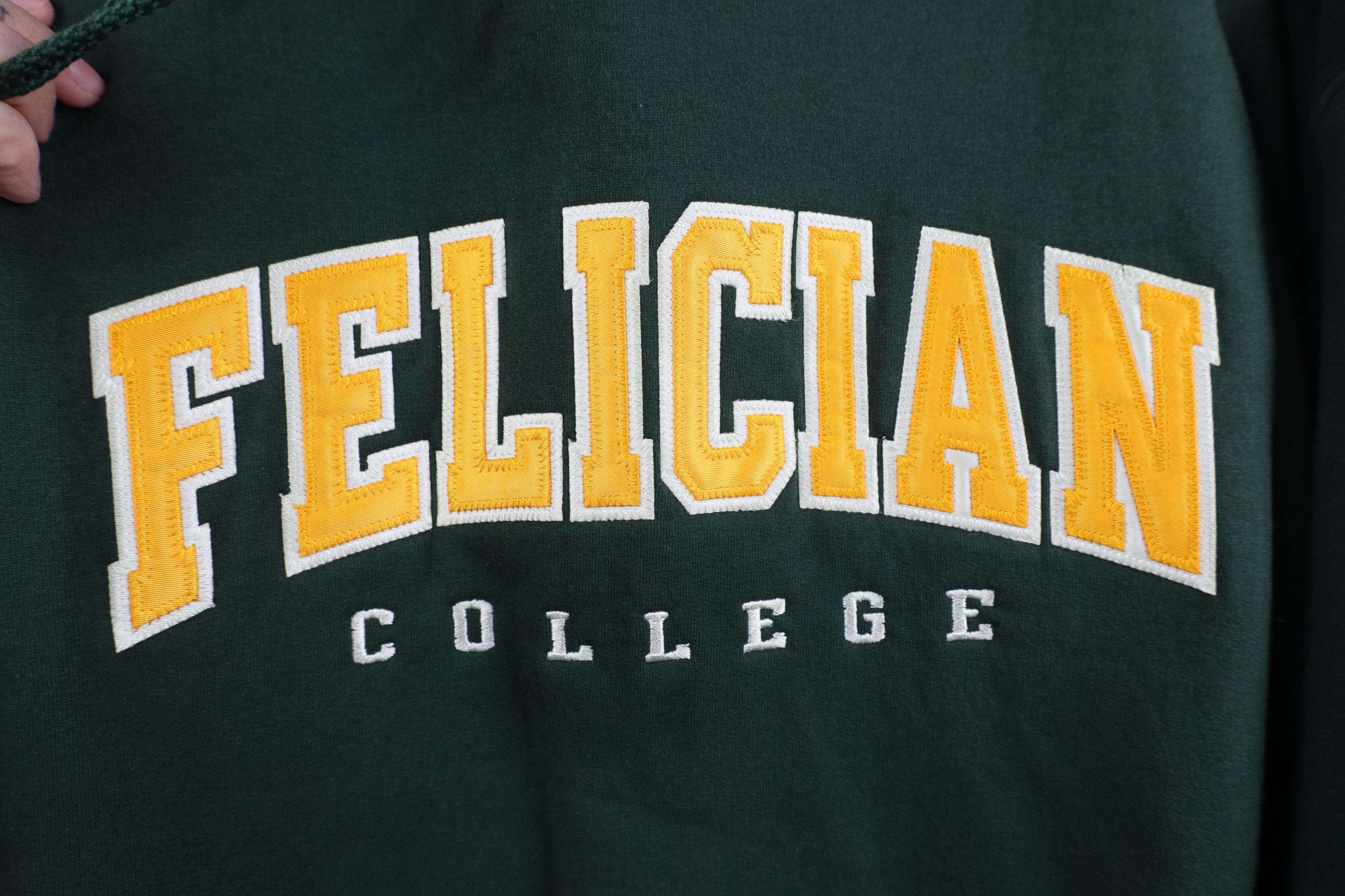 Champion Vintage Champion Felician College Hoodie Sweatshirt Green Size US XL / EU 56 / 4 - 5 Thumbnail