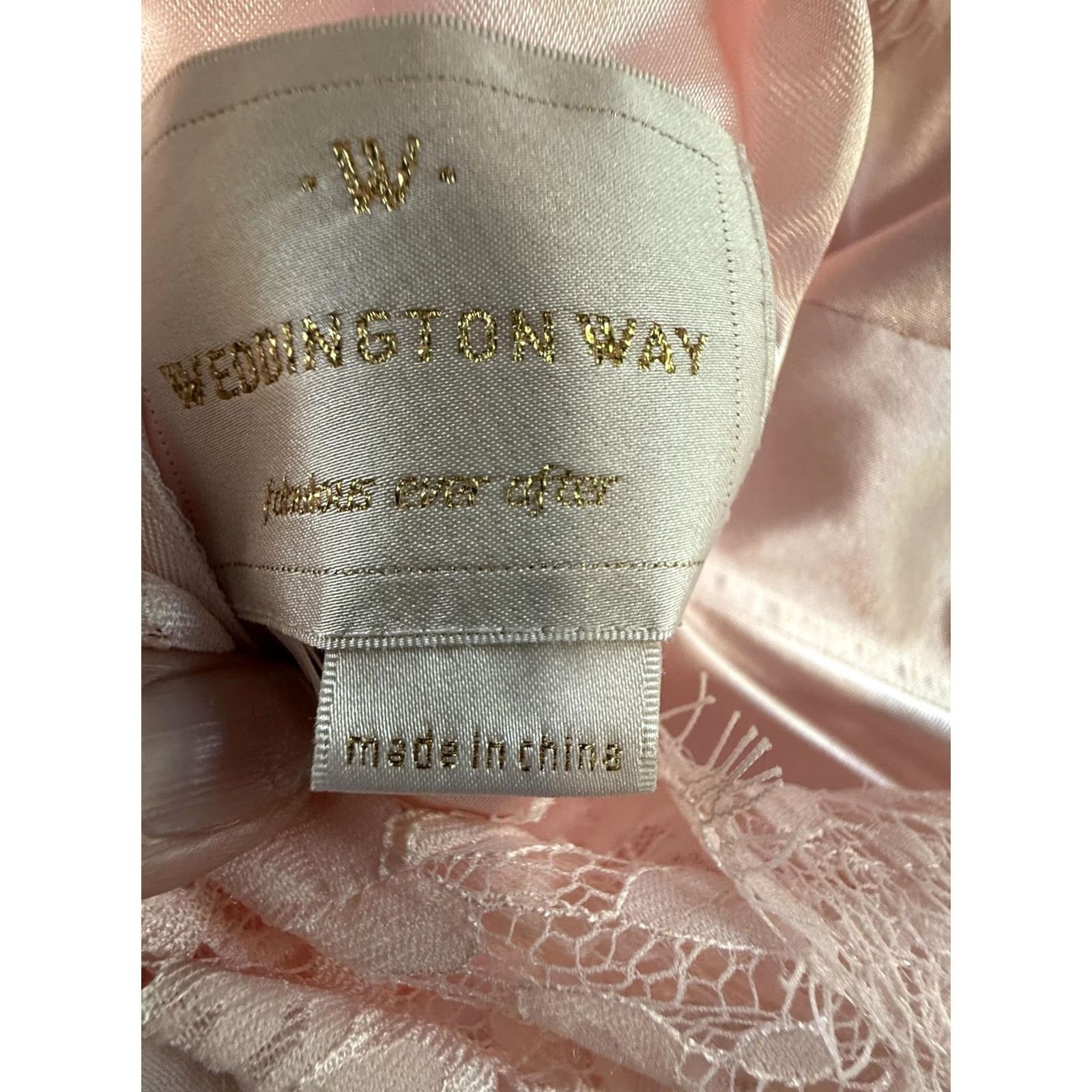 Pinko VINTAGE Weddington Way Dress L Pink Lace Chiffon V Neck Maxi Bridesmaid Prom Gown Size L / US 10 / IT 46 - 4 Thumbnail