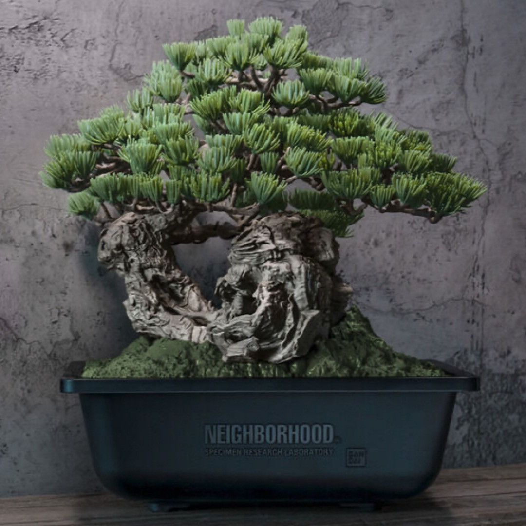 Neighborhood Neighborhood SRL Bonsai Size ONE SIZE - 1 Thumbnail