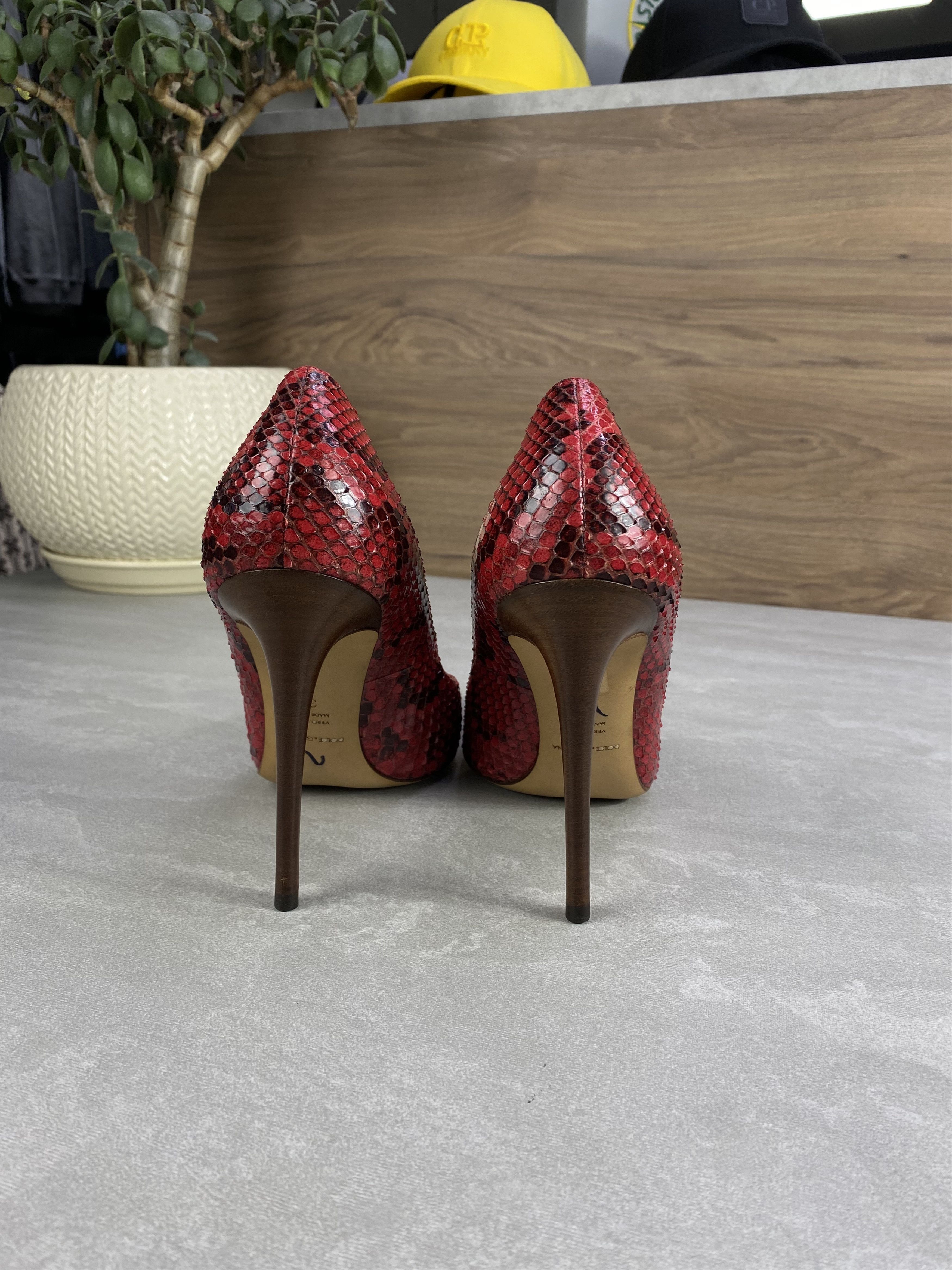 Dolce & Gabbana Dolce & Gabbana Red Python Pointed Toe Pumps Size 38 Size US 8 / IT 38 - 6 Thumbnail