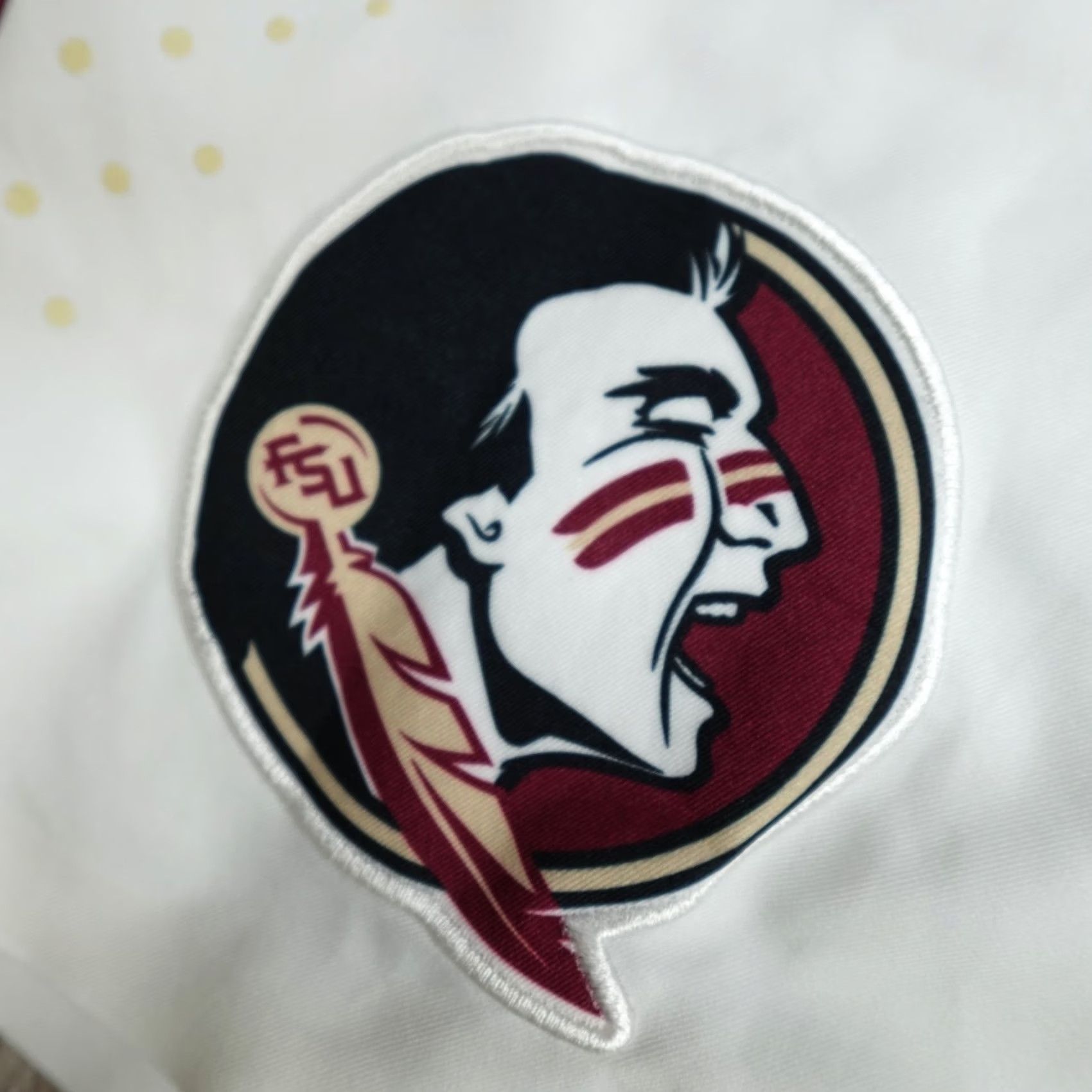 Nike Nike Florida State Seminoles Basketball Shorts White 38 Men Regular Athletic Drawstring Shorts Size US 38 / EU 54 - 3 Thumbnail