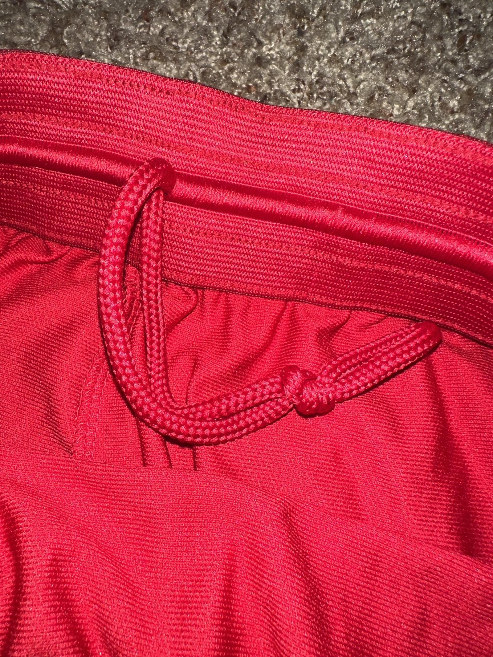 Jordan Brand Jordan Dry 23 Alpha Red Pants Size US 34 / EU 50 - 4 Thumbnail