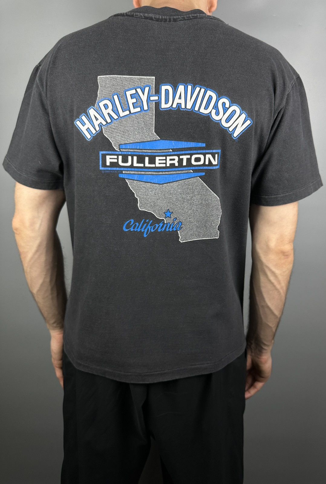 Harley Davidson Vintage Harley Davidson Real Steel USA Graphic TShirt Pig 3D Size US L / EU 52-54 / 3 - 4 Thumbnail