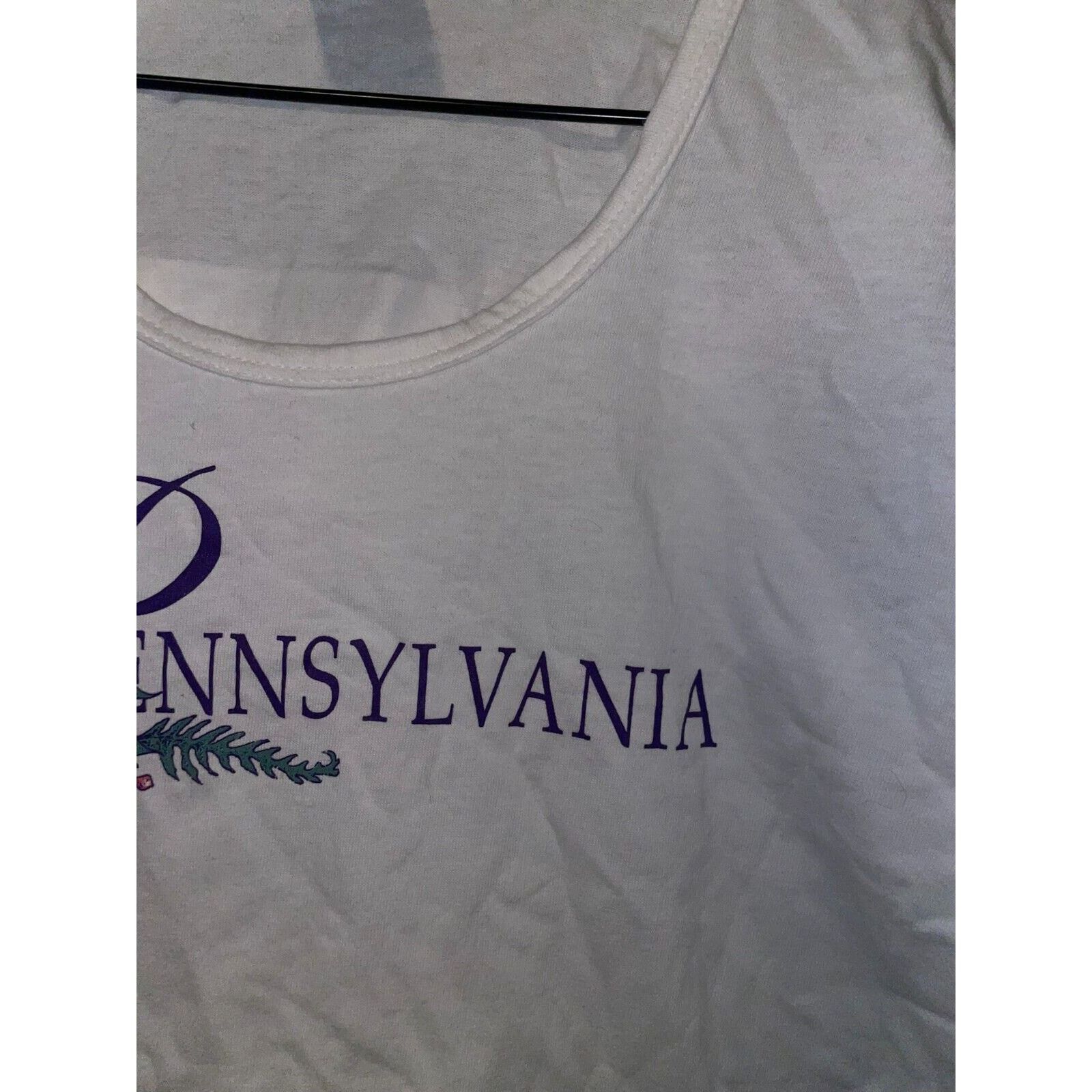 Vintage Womens Vintage Pennsylvania Shirt Flower State Top Tee 90s L Size L / US 10 / IT 46 - 4 Thumbnail
