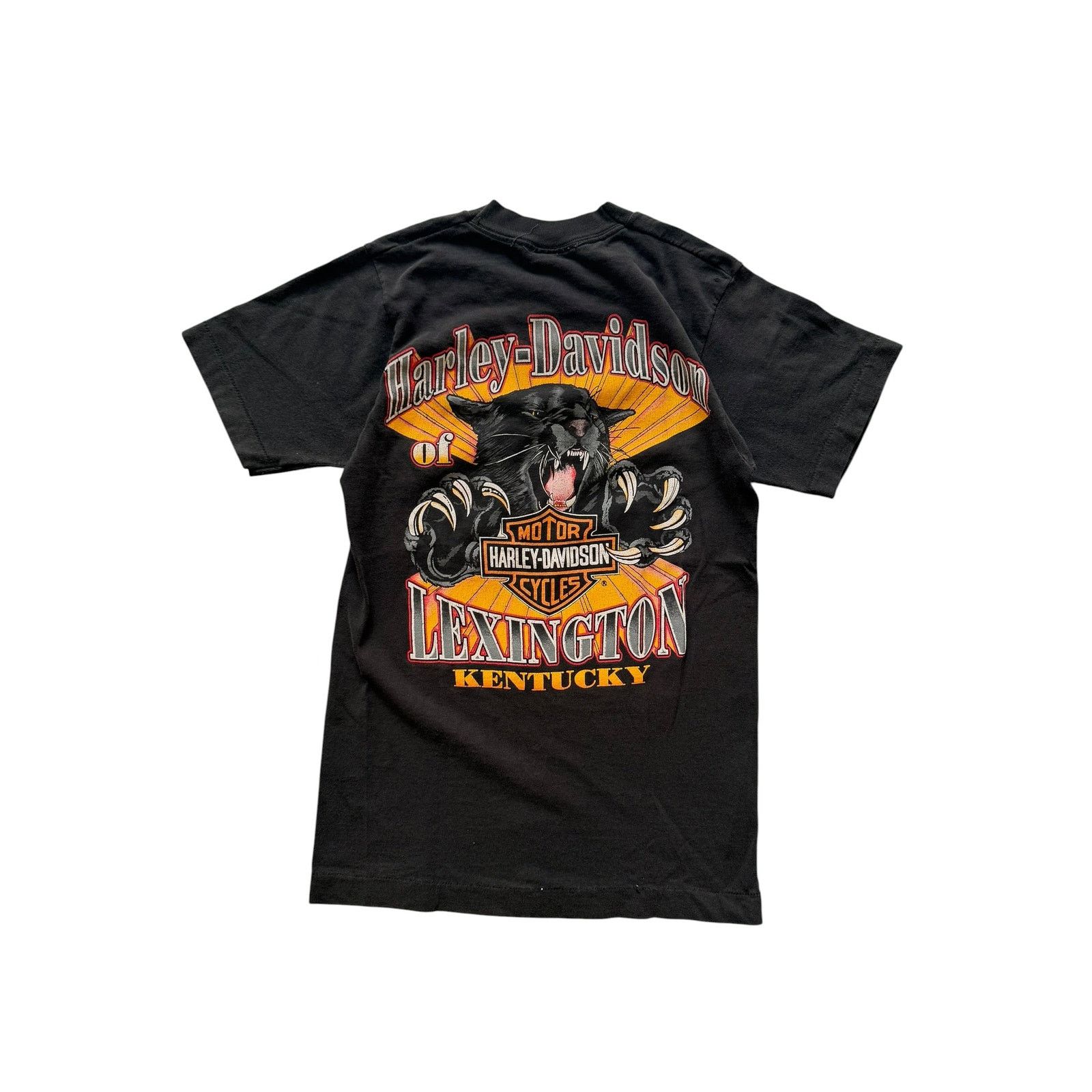 Vintage Vintage HD Zion Eagle Desert Sunset Pocket Tee Size US S / EU 44-46 / 1 - 5 Thumbnail