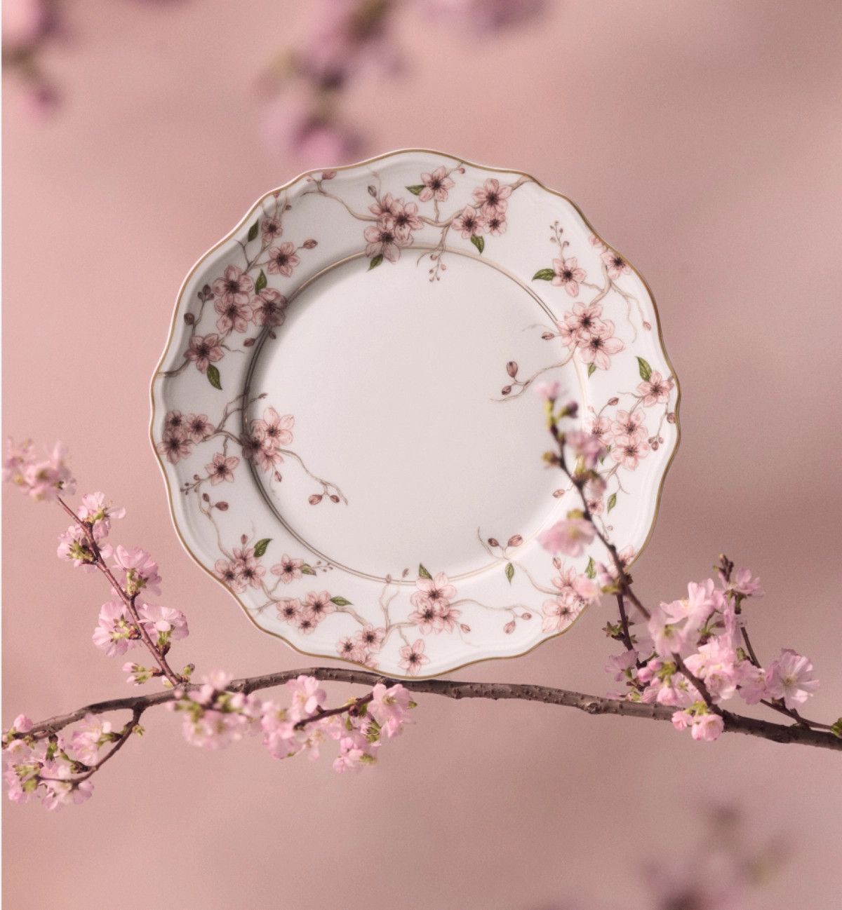 Dior o1bcso1str0226 Size:OS/Dinnert Plate in Pink Size ONE SIZE - 4 Thumbnail