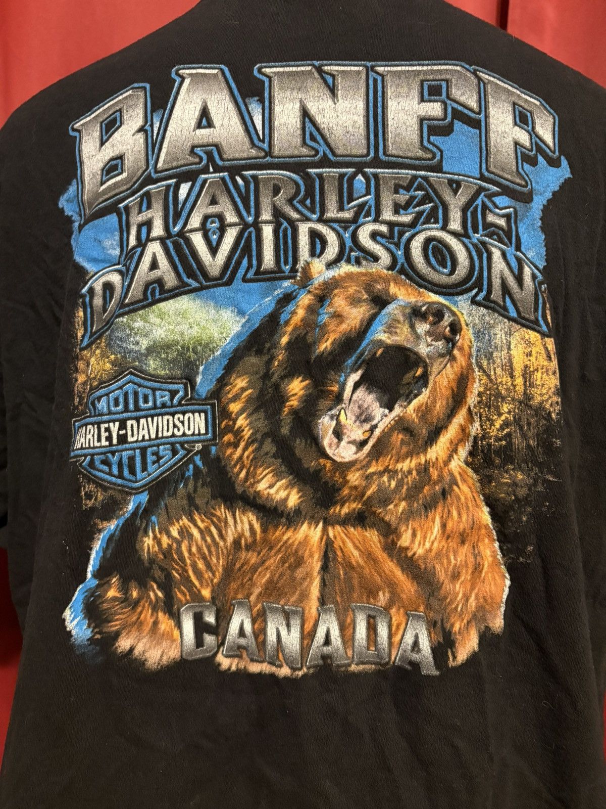 Harley Davidson Harley Davidson Tshirt Banff Canada Bear Motorcycle Grail Size US XXL / EU 58 / 5 - 5 Thumbnail