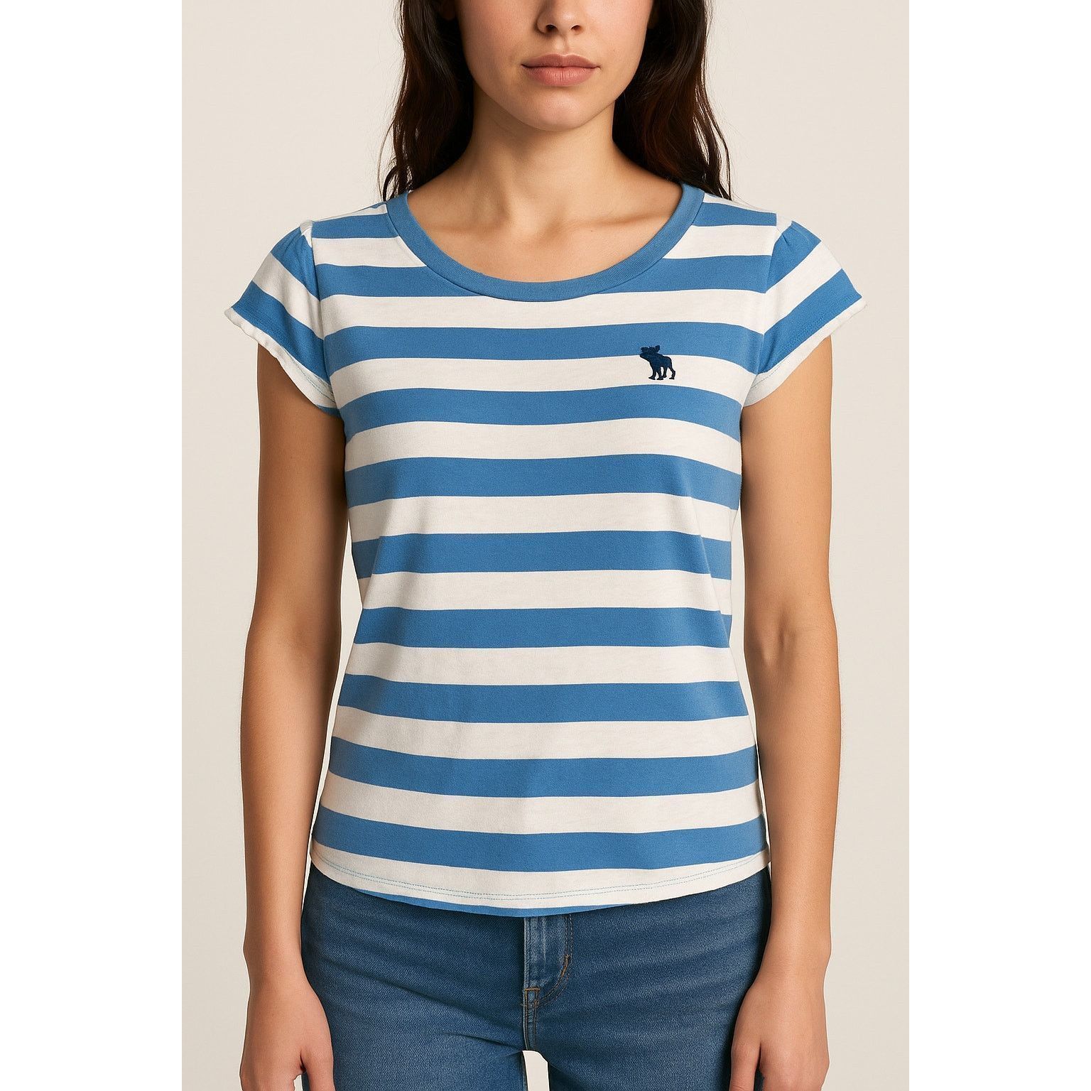 Abercrombie & Fitch Coastal Striped Nautical Tee Blue White Abercrombie & Fitch Size XS / US 0-2 / IT 36-38 - 1 Thumbnail