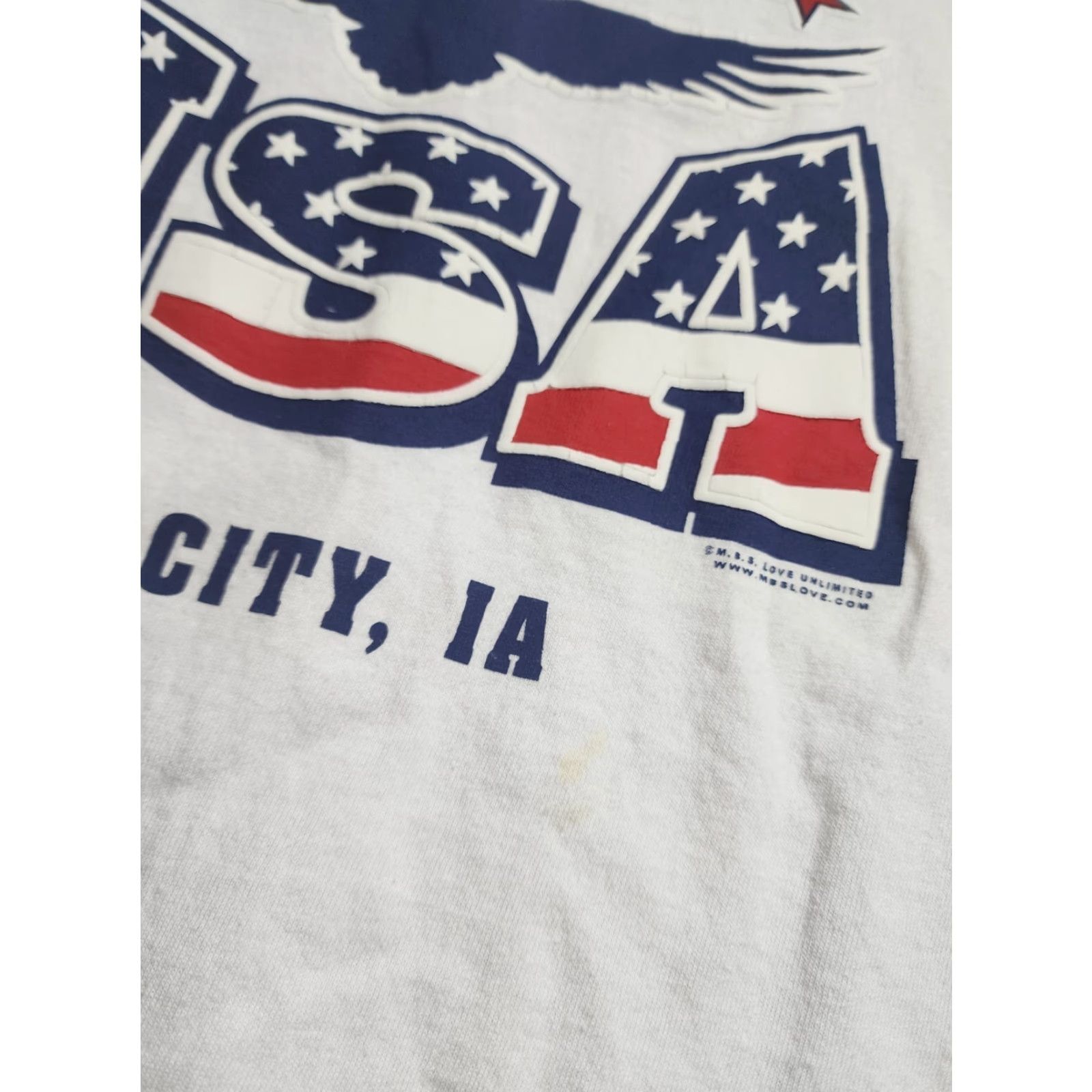 Fruit Of The Loom VINTAGE Fruit of the Loom T-Shirt Shirt Mens L Iowa City Patriotic Flag Distressed White 1990s Graphic Tee Mens Size US L / EU 52-54 / 3 - 4 Thumbnail