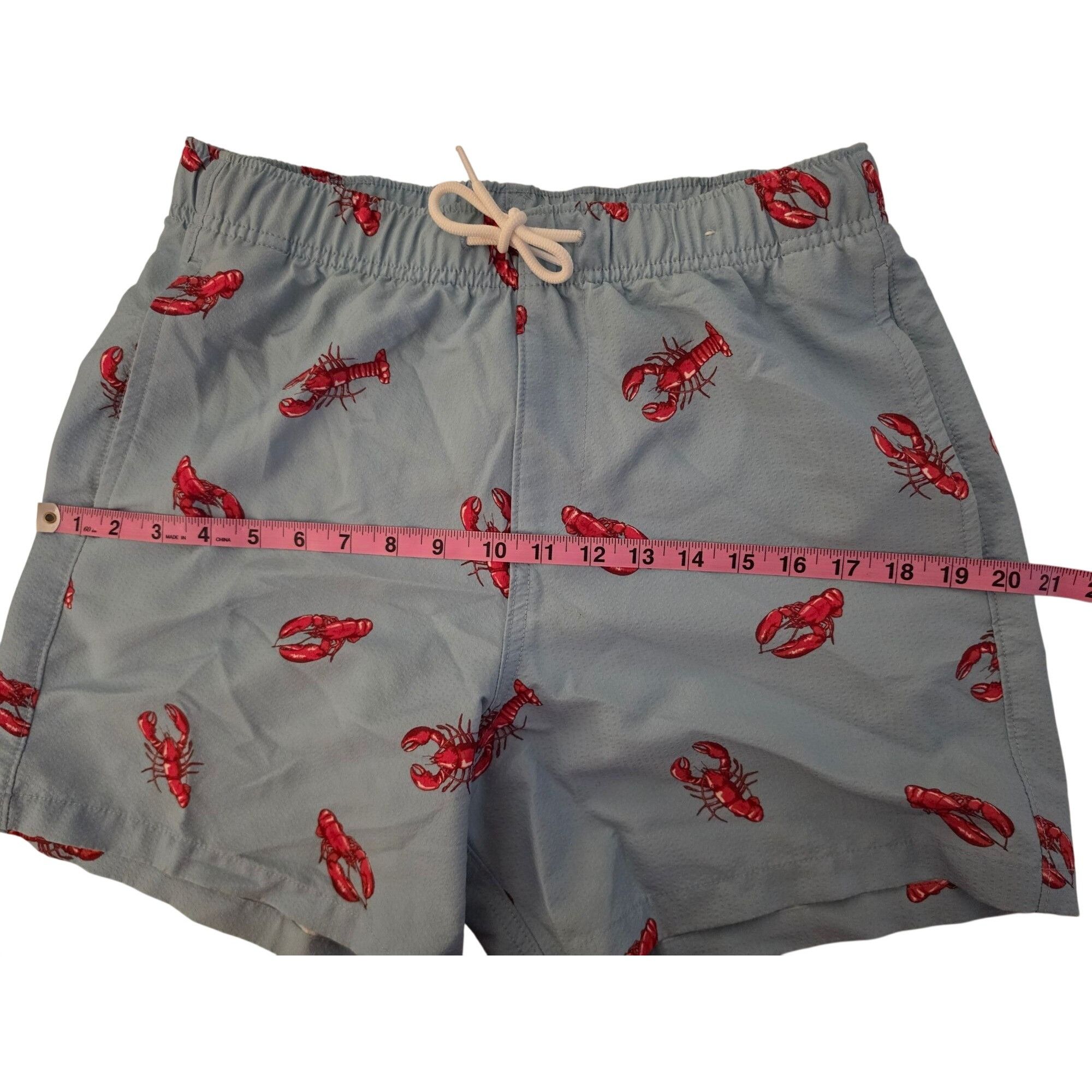 Hollister Hollister Lobster Swim Trunks Mens Small Blue Red Print Line Size US 28 / EU 44 - 7 Thumbnail