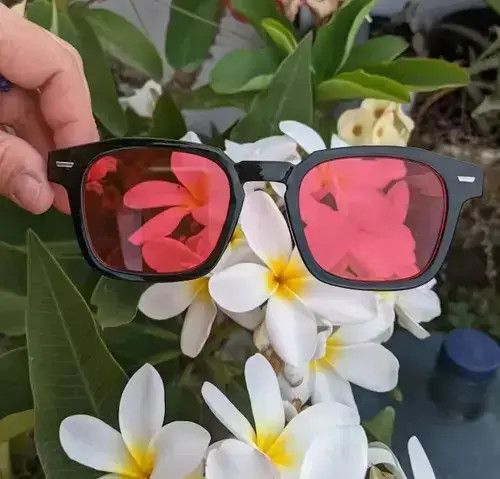 Electric Visual Red Lense Black Frame Sunglasses Size ONE SIZE - 2 Thumbnail