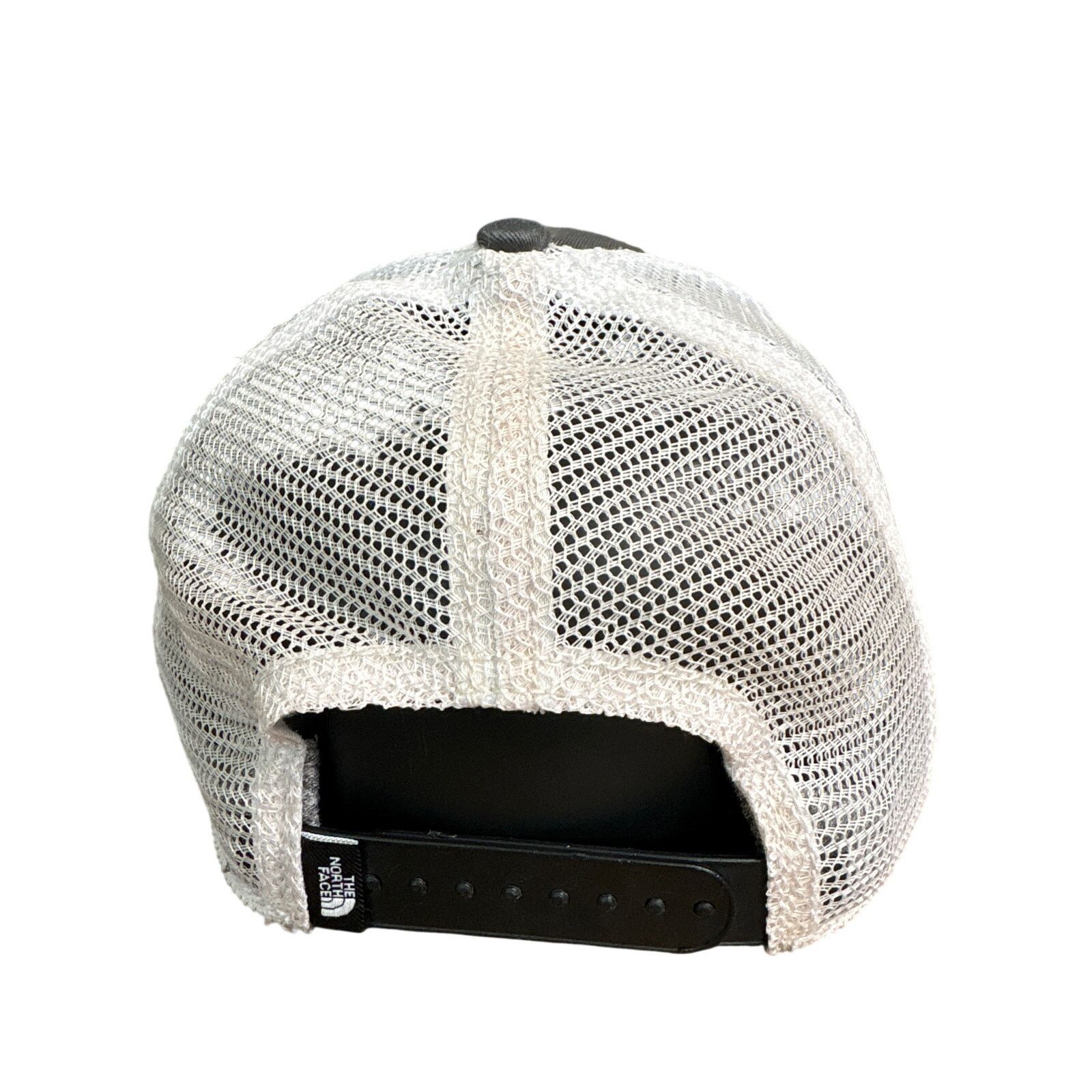 The North Face The North Face Bear Mountains adjustable OSFA embroidered Size ONE SIZE - 4 Thumbnail