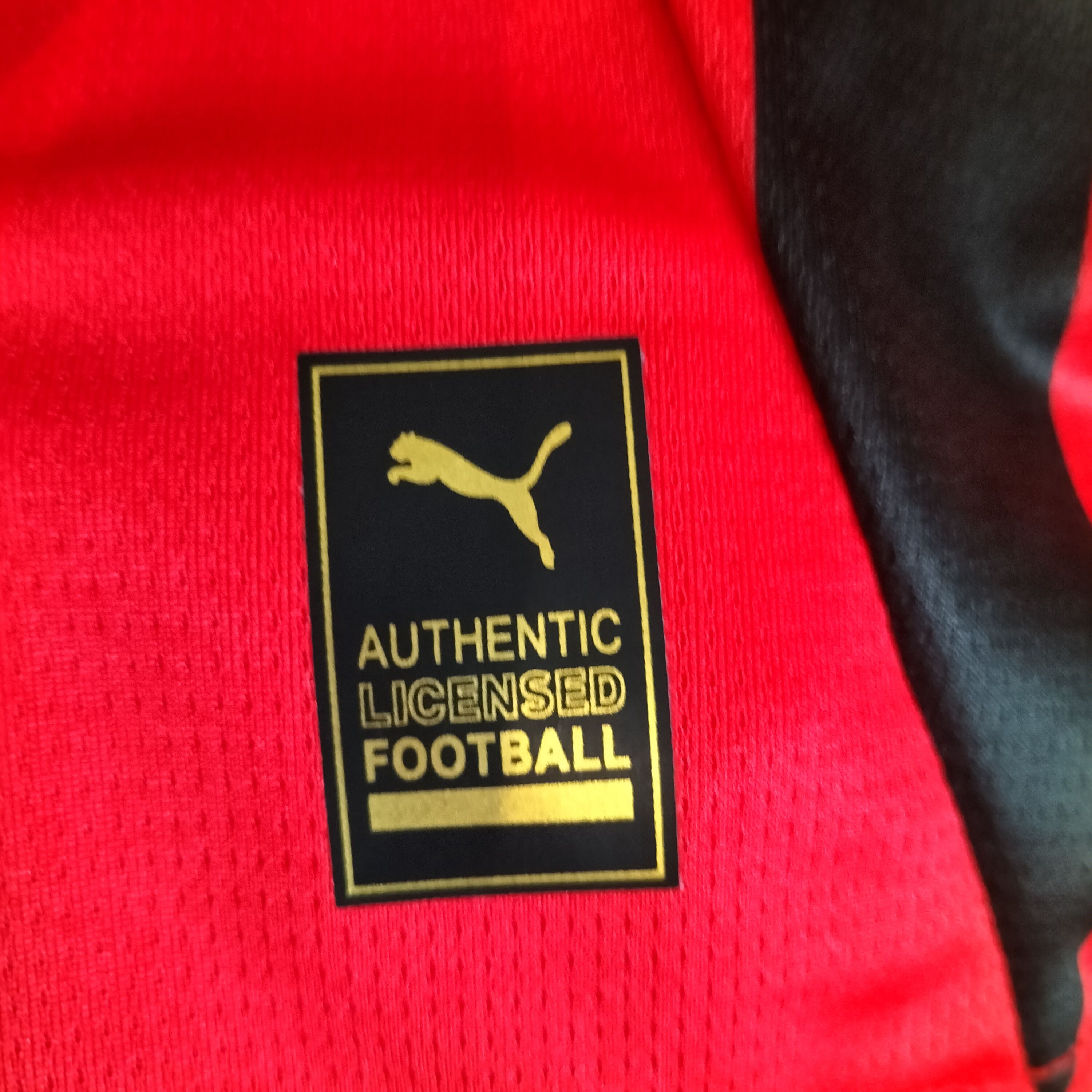 Puma AC Milan Shirt Sieze L Season 24/25 Size US L / EU 52-54 / 3 - 2 Thumbnail