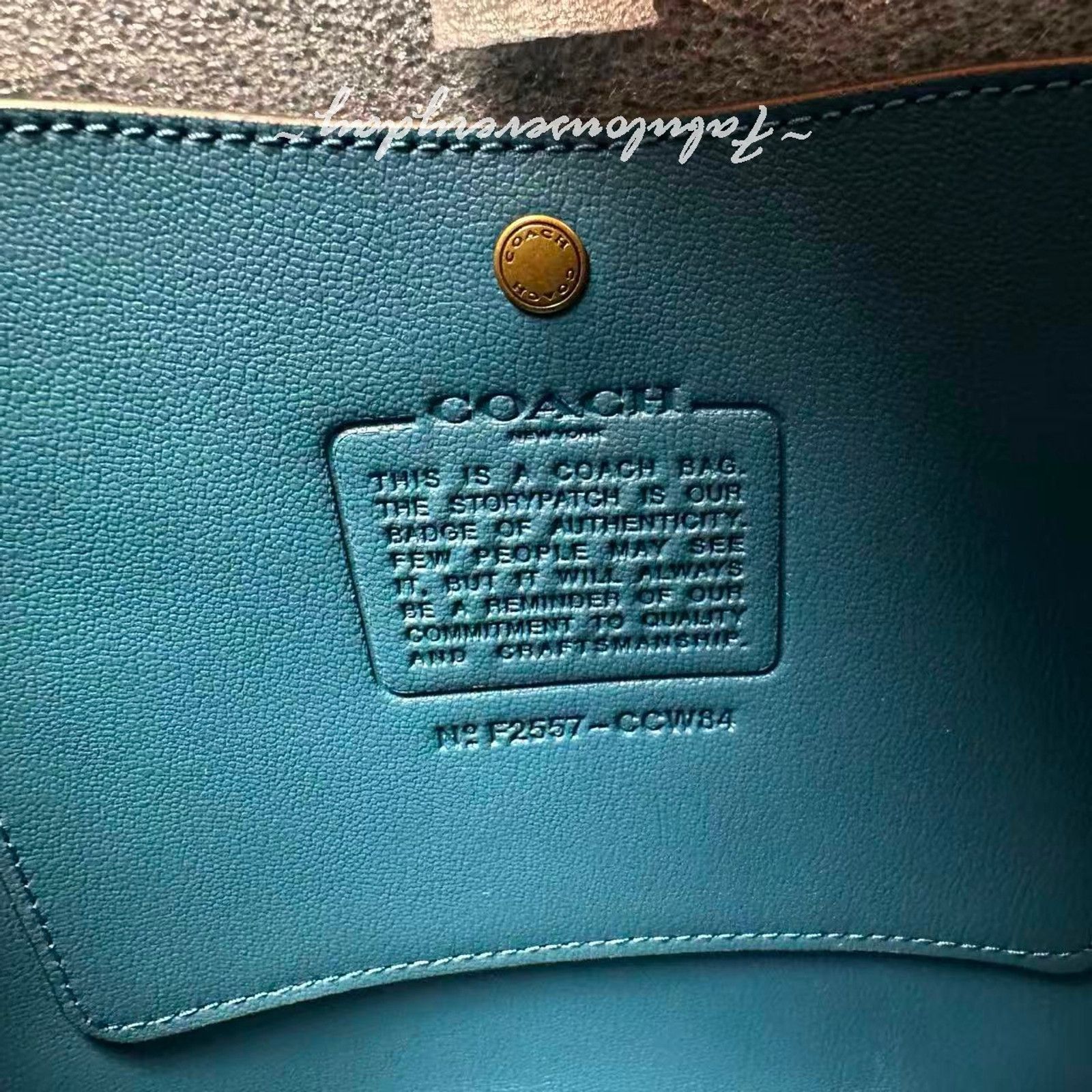 Coach Coach Bleecker Bucket Bag 21 Crossbody Suede/Brass/Sea Blue Size ONE SIZE - 9 Thumbnail